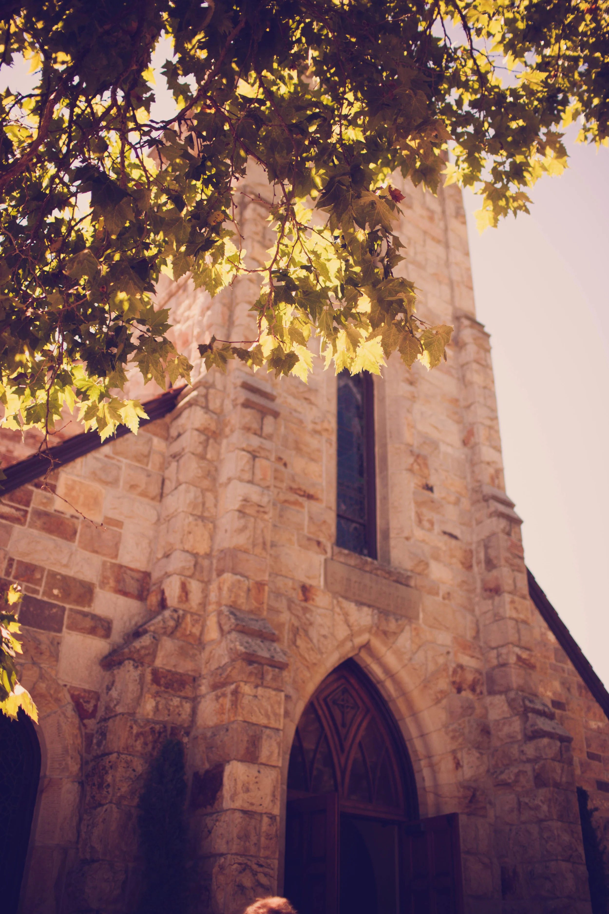 C+E (127 of 446).jpg