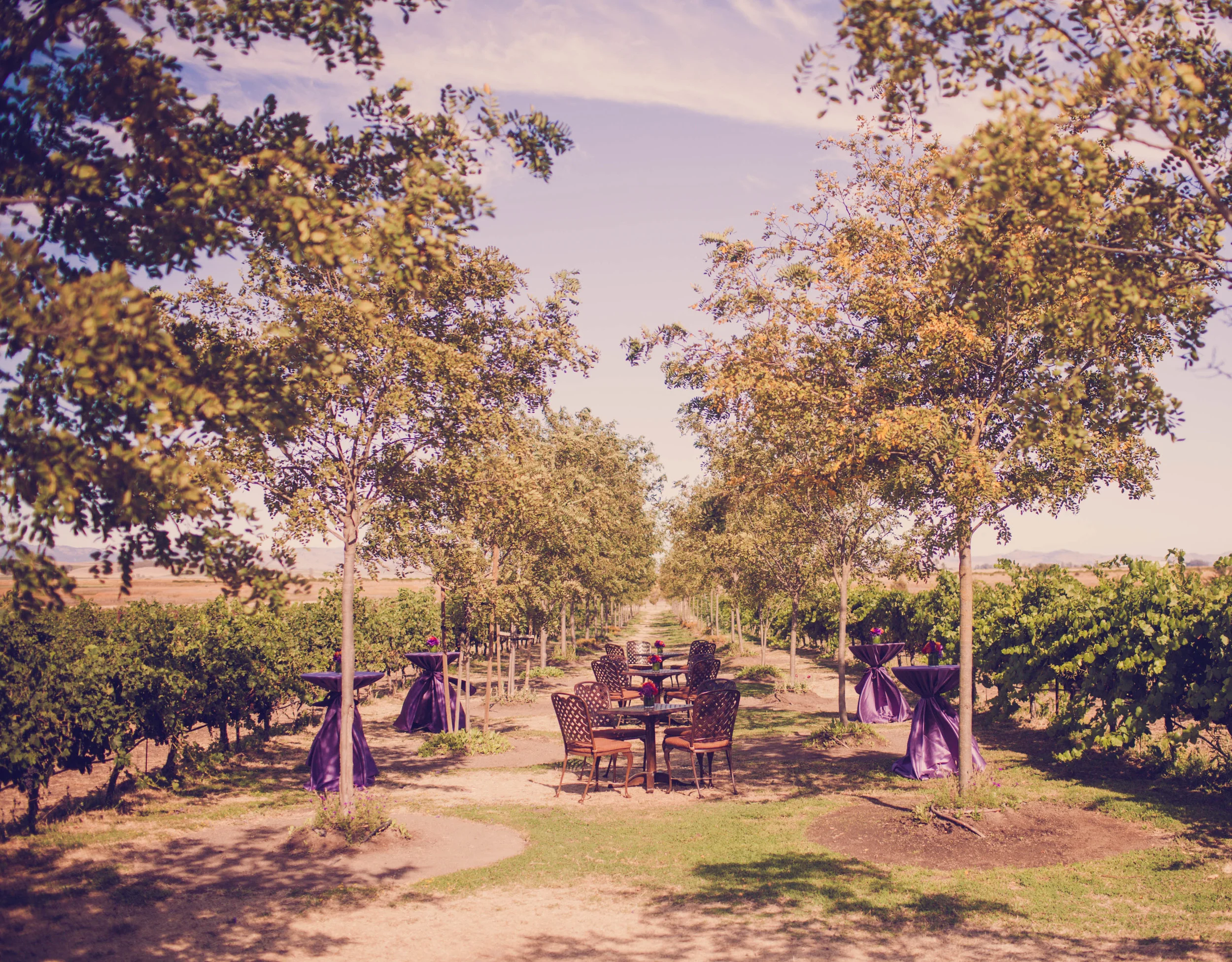 C+E (250 of 446).jpg