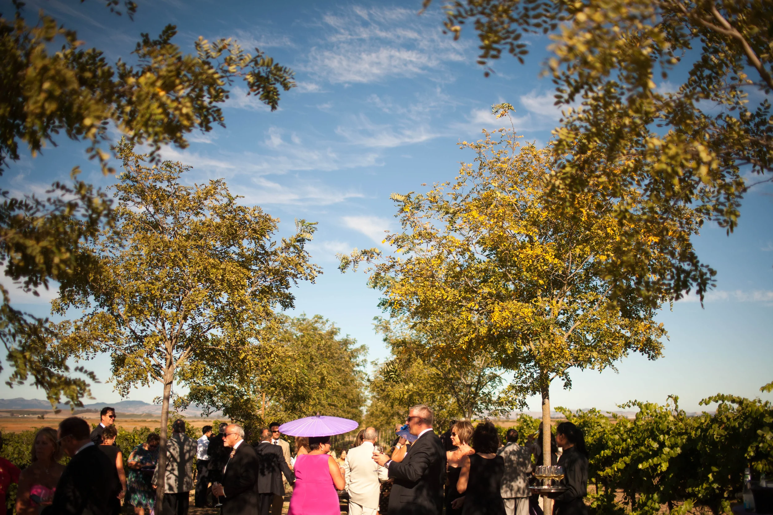 C+E (392 of 446).jpg