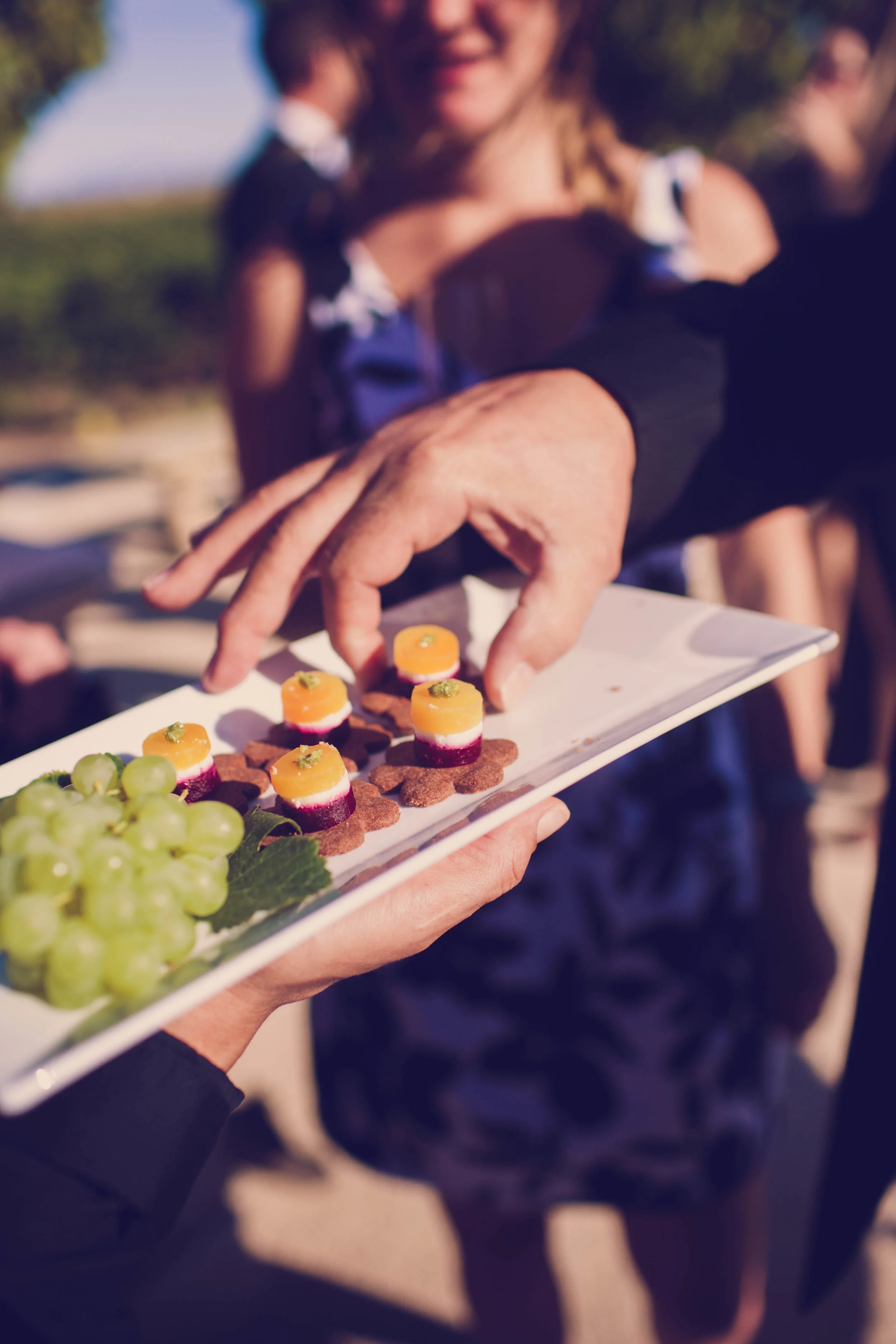 C+E (408 of 446).jpg