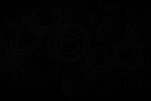 La Vida en Rosa
