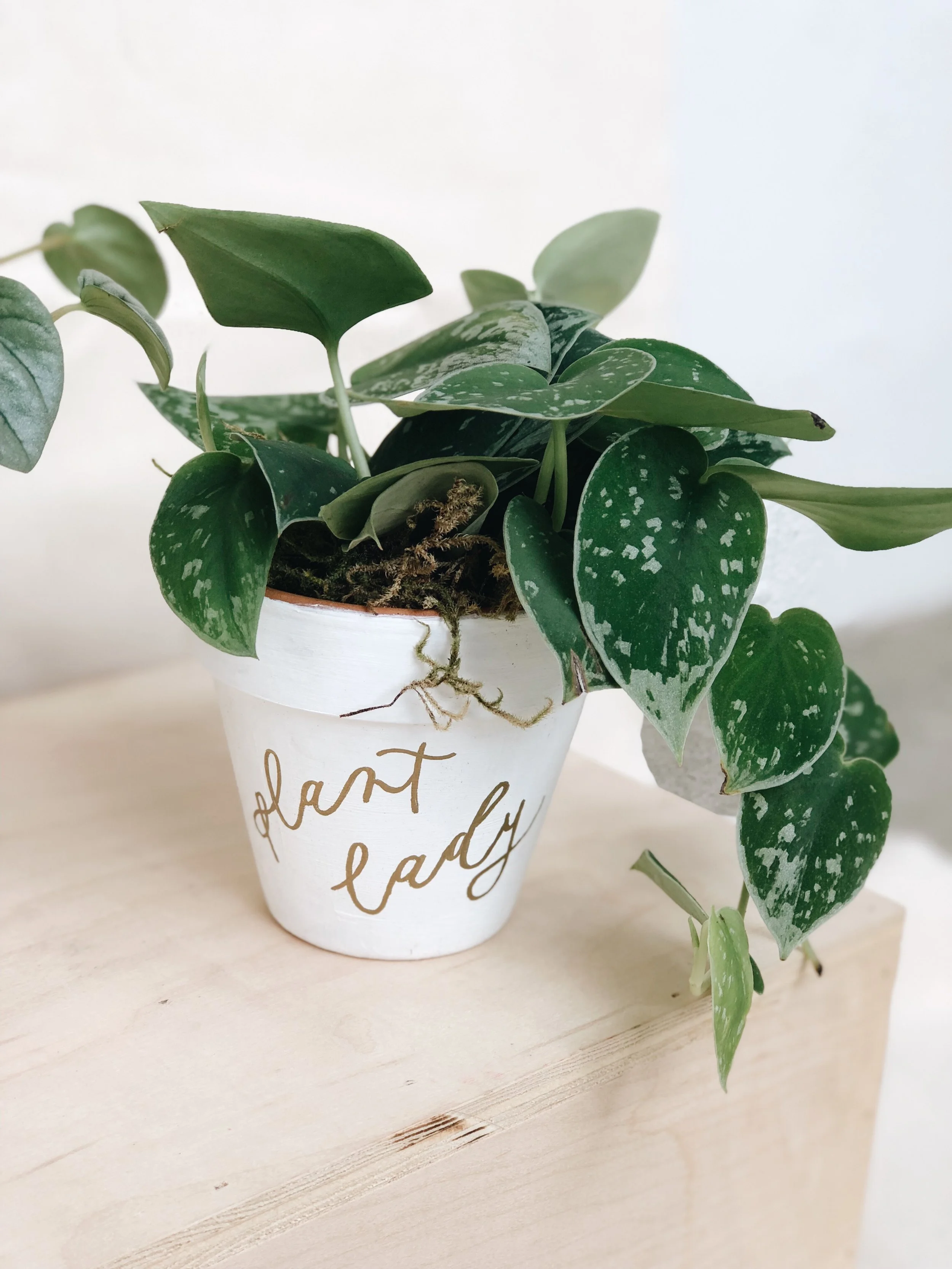 Easy Valentine's Gift: DIY Painted Terra Cotta Pots for Your Valentine