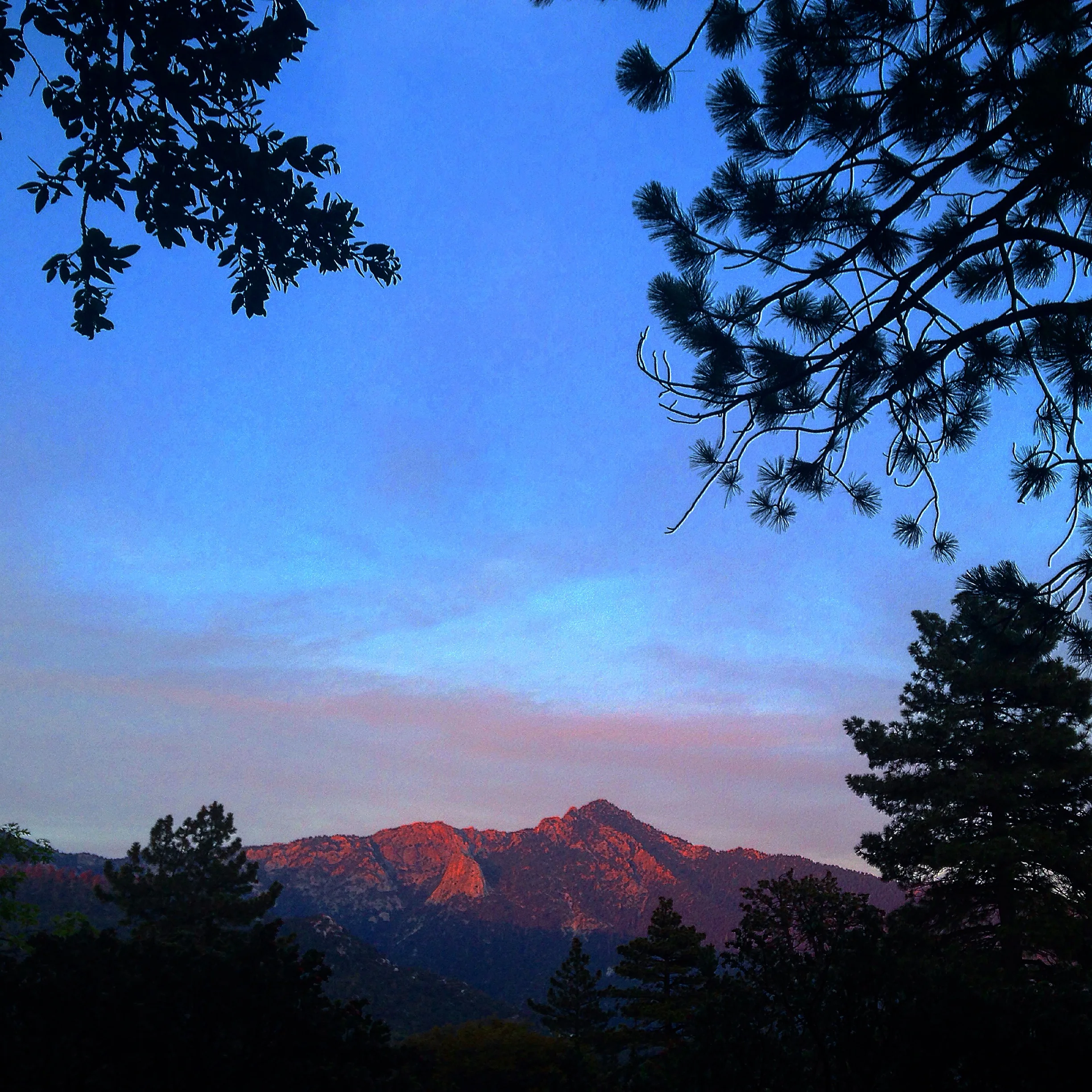 Splendid in Idyllwild