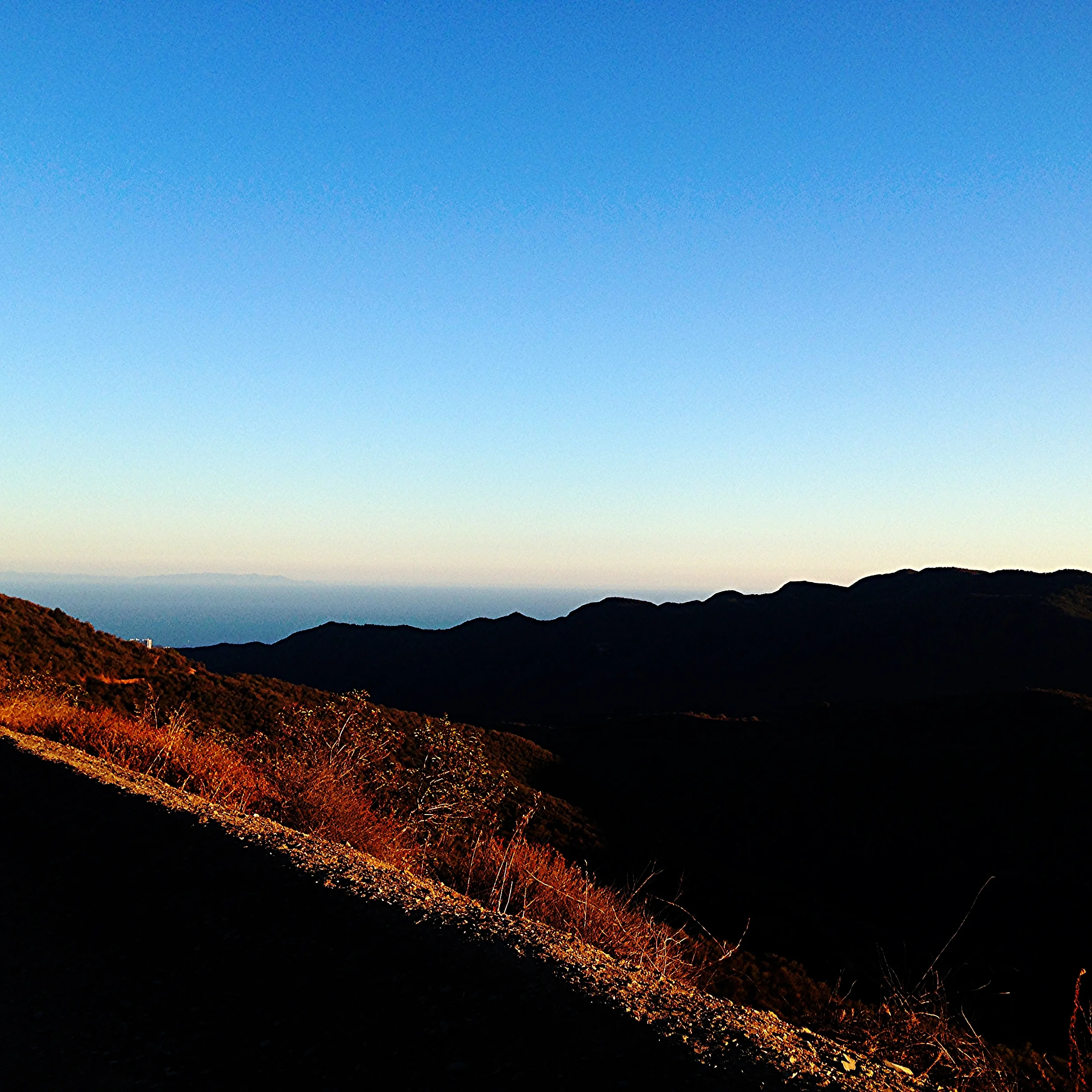 What If You Only Had One Year?