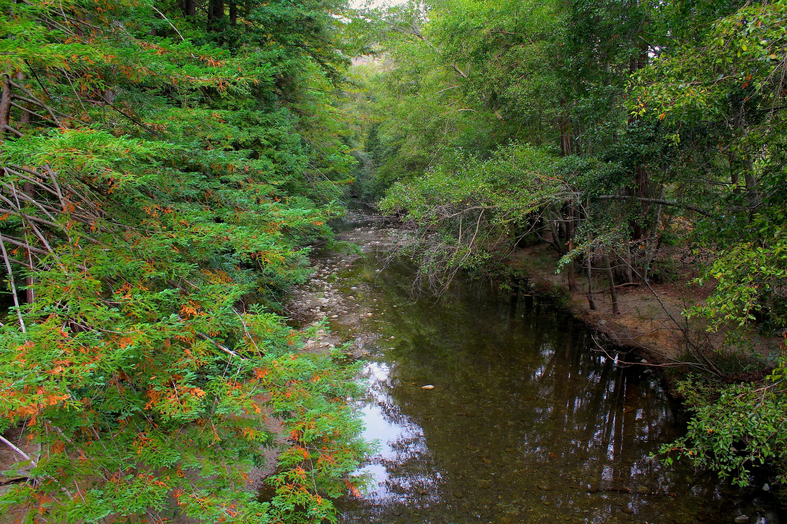 Reflections on a Personal New Year