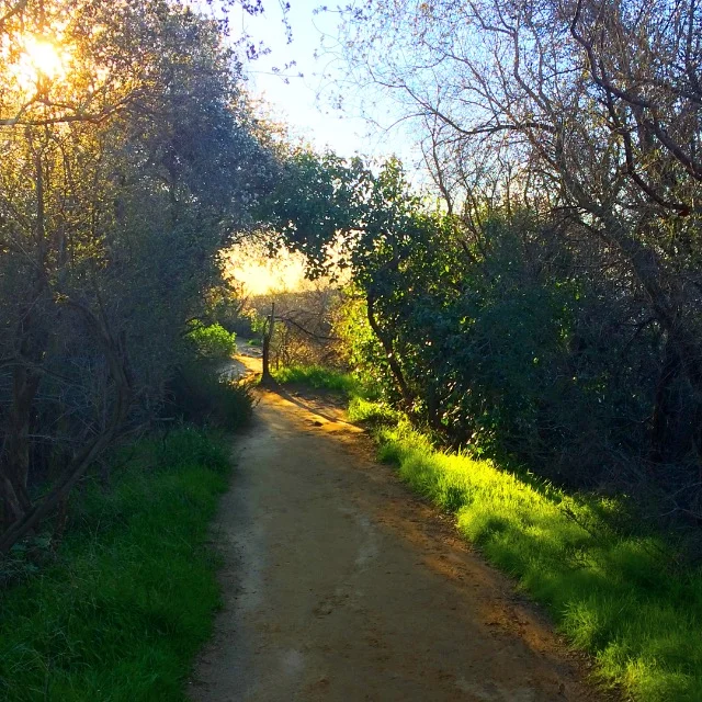 How I Infused My Life with Passion (and You Can, Too)