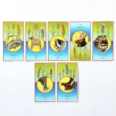 weekly card reading 11.2.18.jpg