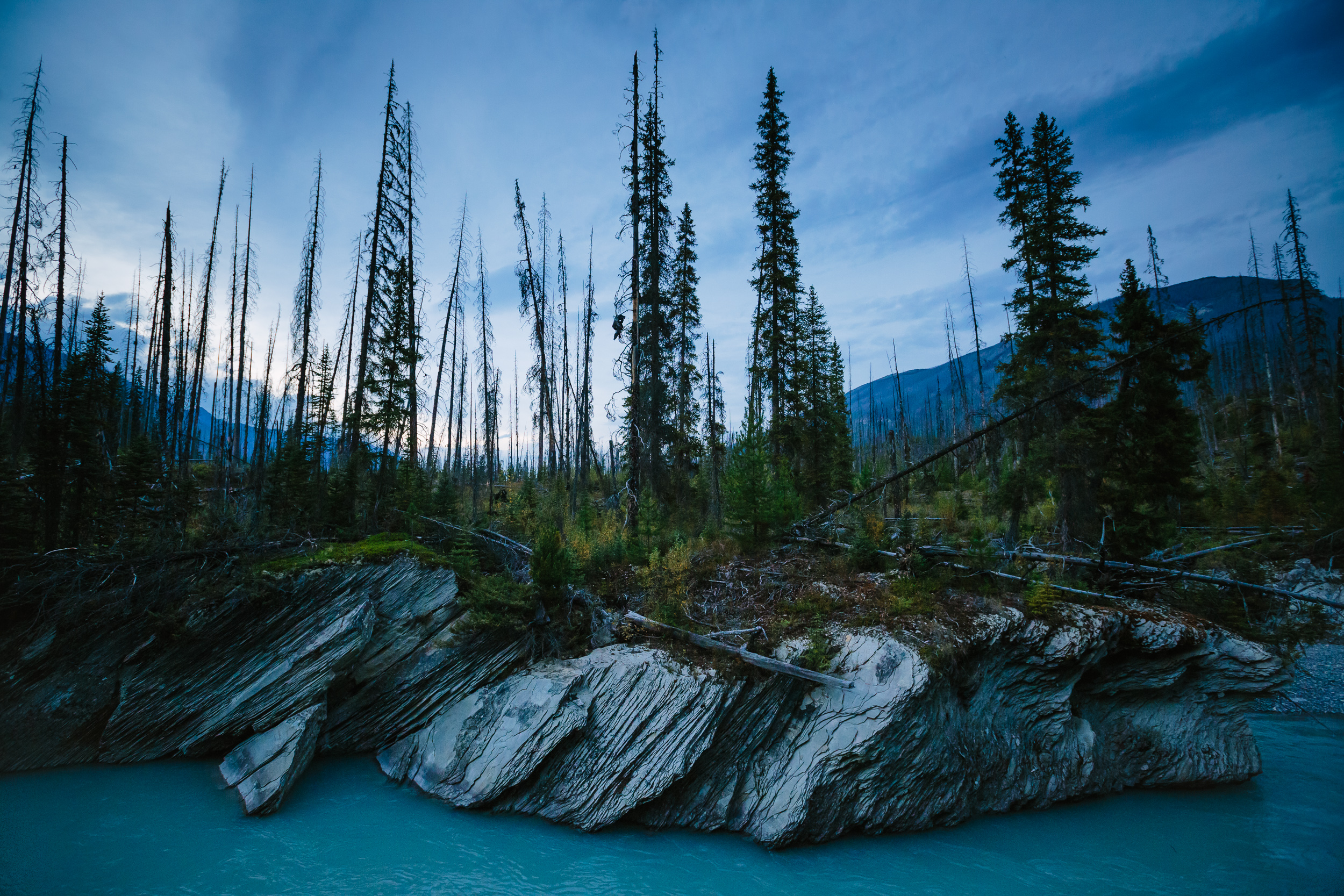 steve_seeley-kootenay-blue.jpg