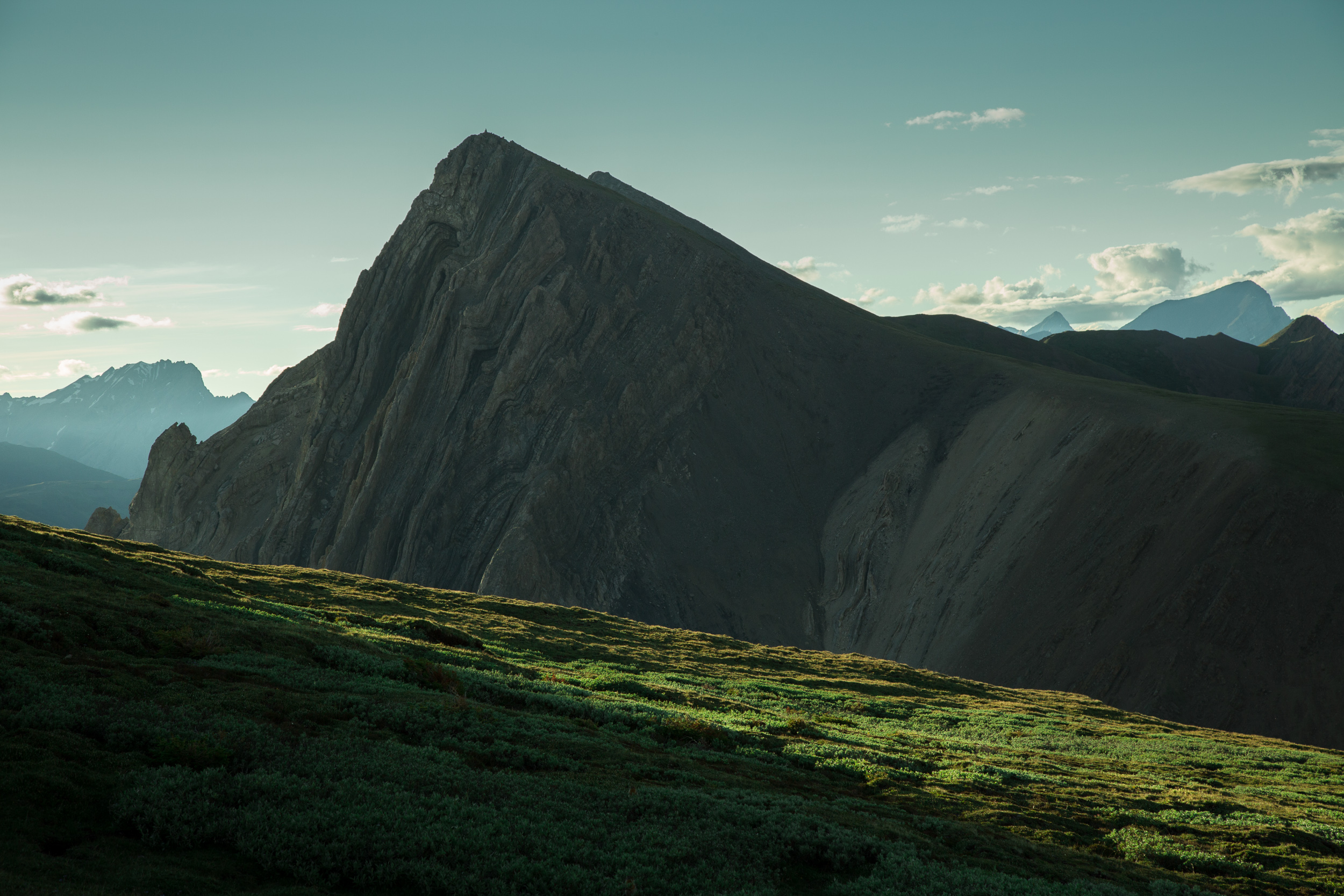 steve_seeley_grizzly_peak_meadow.jpg