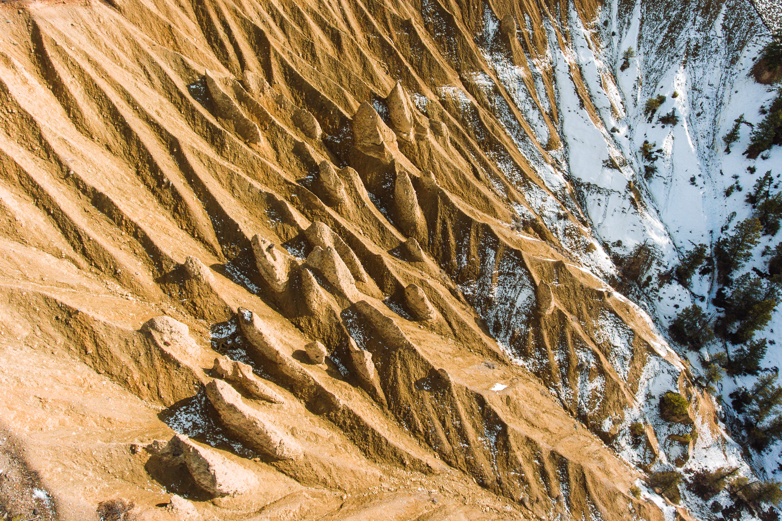 steve_seeley-toby_creek_hoodoos.jpg