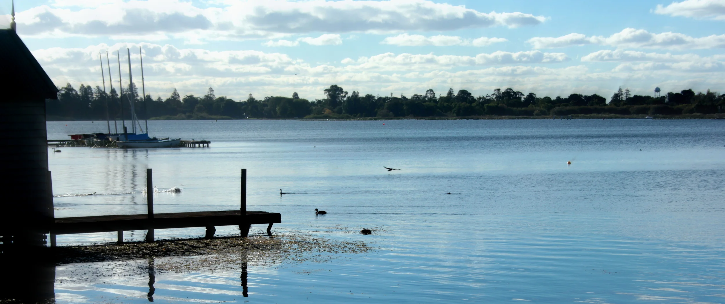 View from the boat clubs.