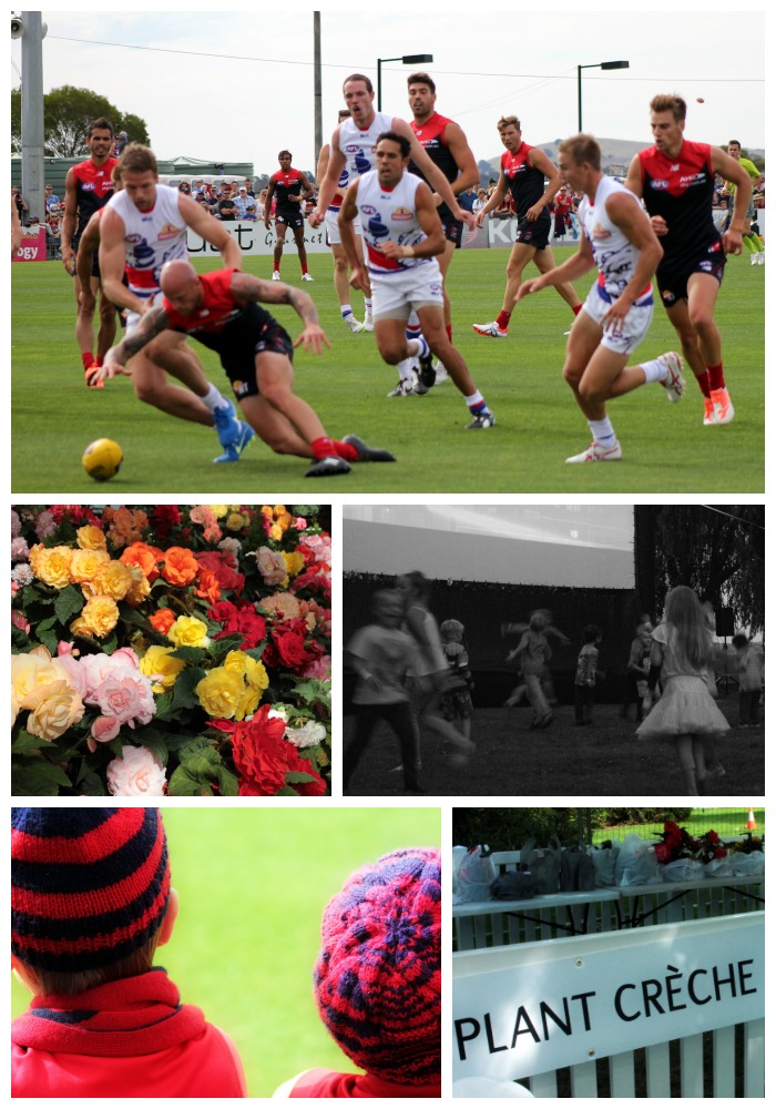 AFL in action. Begonias. Put music videos on and kids will dance: Begonia Festival twilight showing of the Lego Movie. Avid six year old footy fans. Bought plants at the Begonia Festival? Leave them to be cared for a the Plant Chreche :-)
