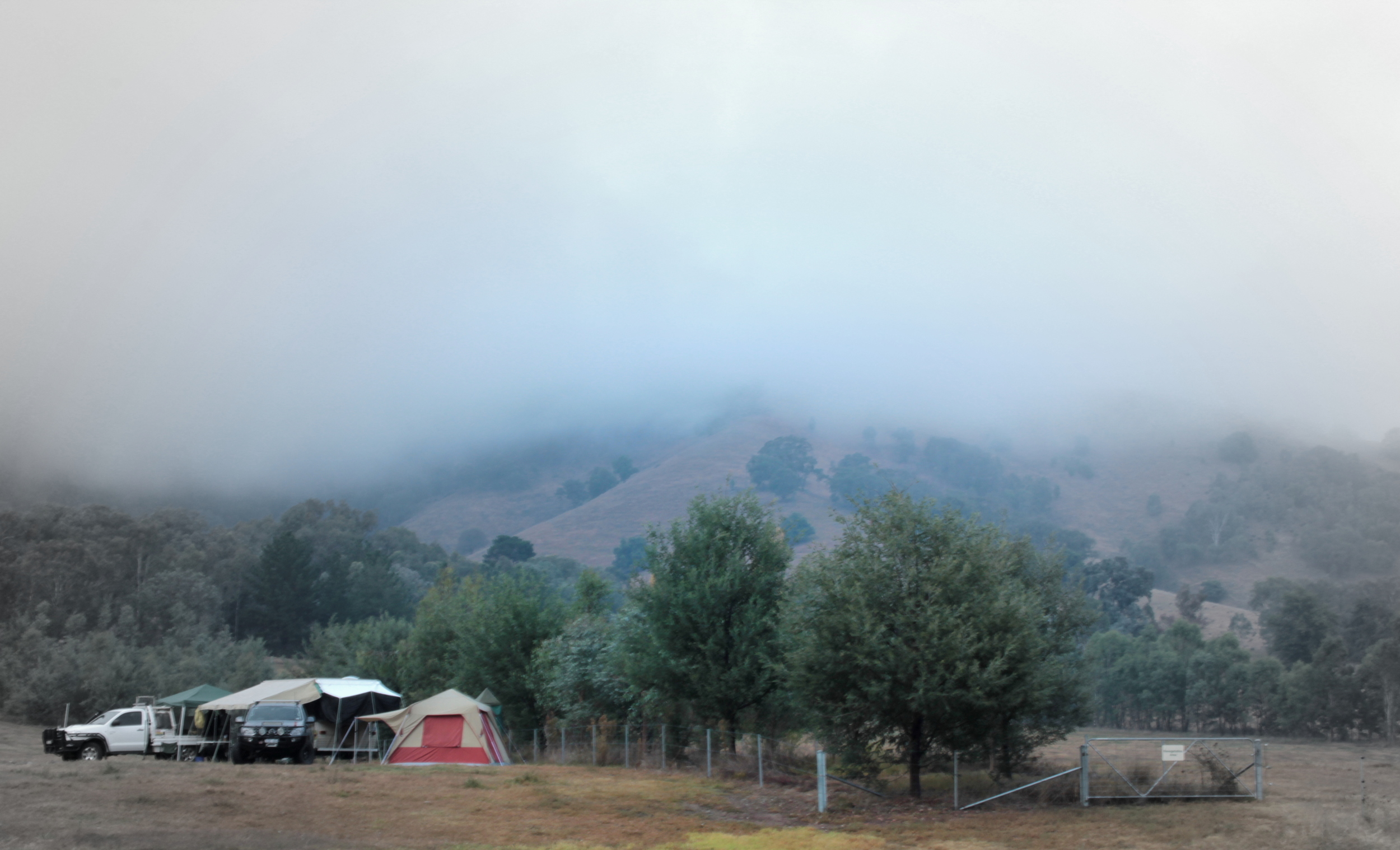 We woke to a foggy morning