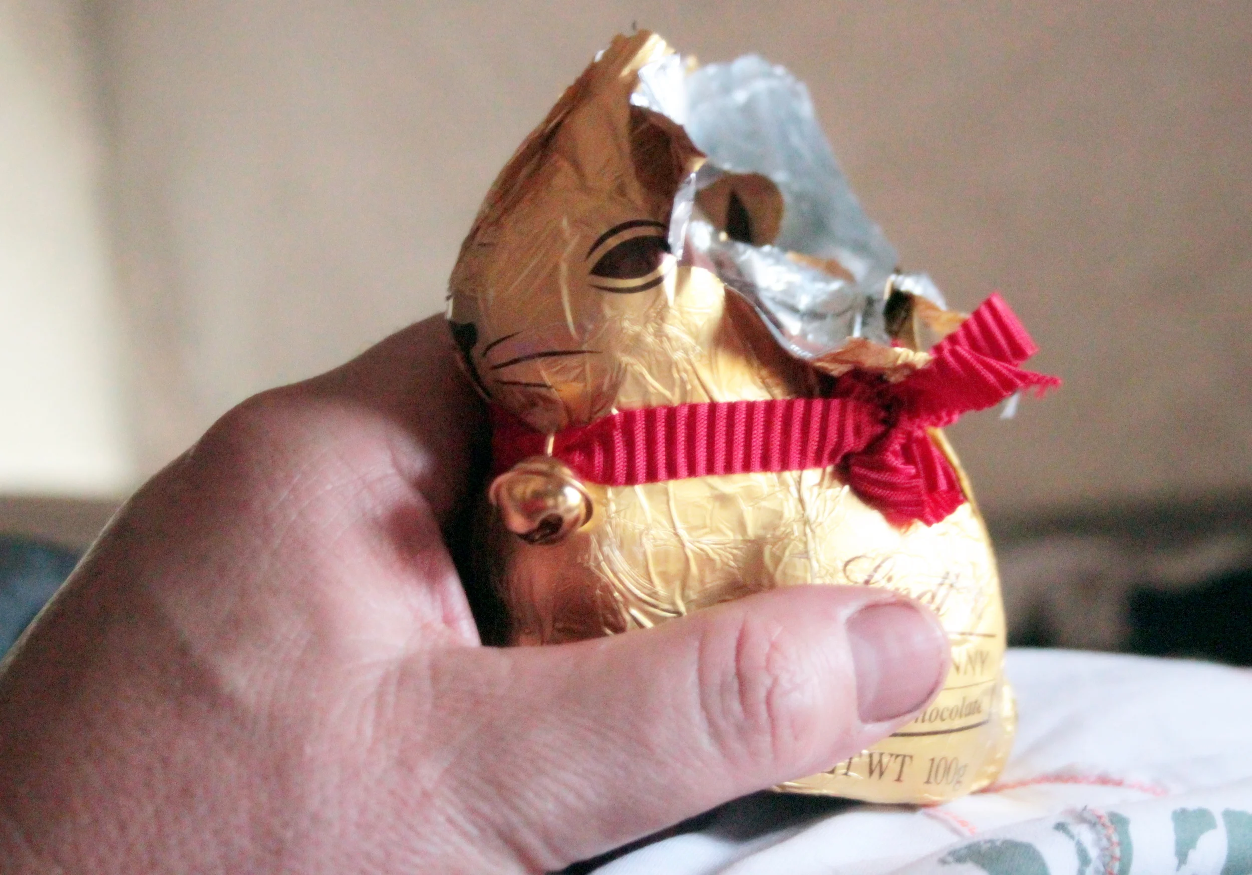 There was bunny for breakfast