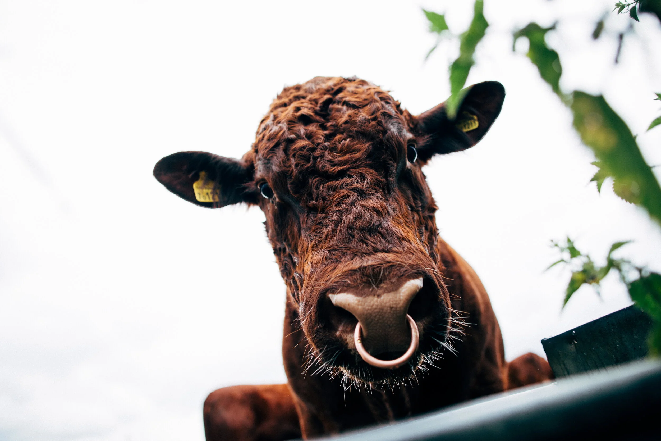 Make (209)_resize.JPG