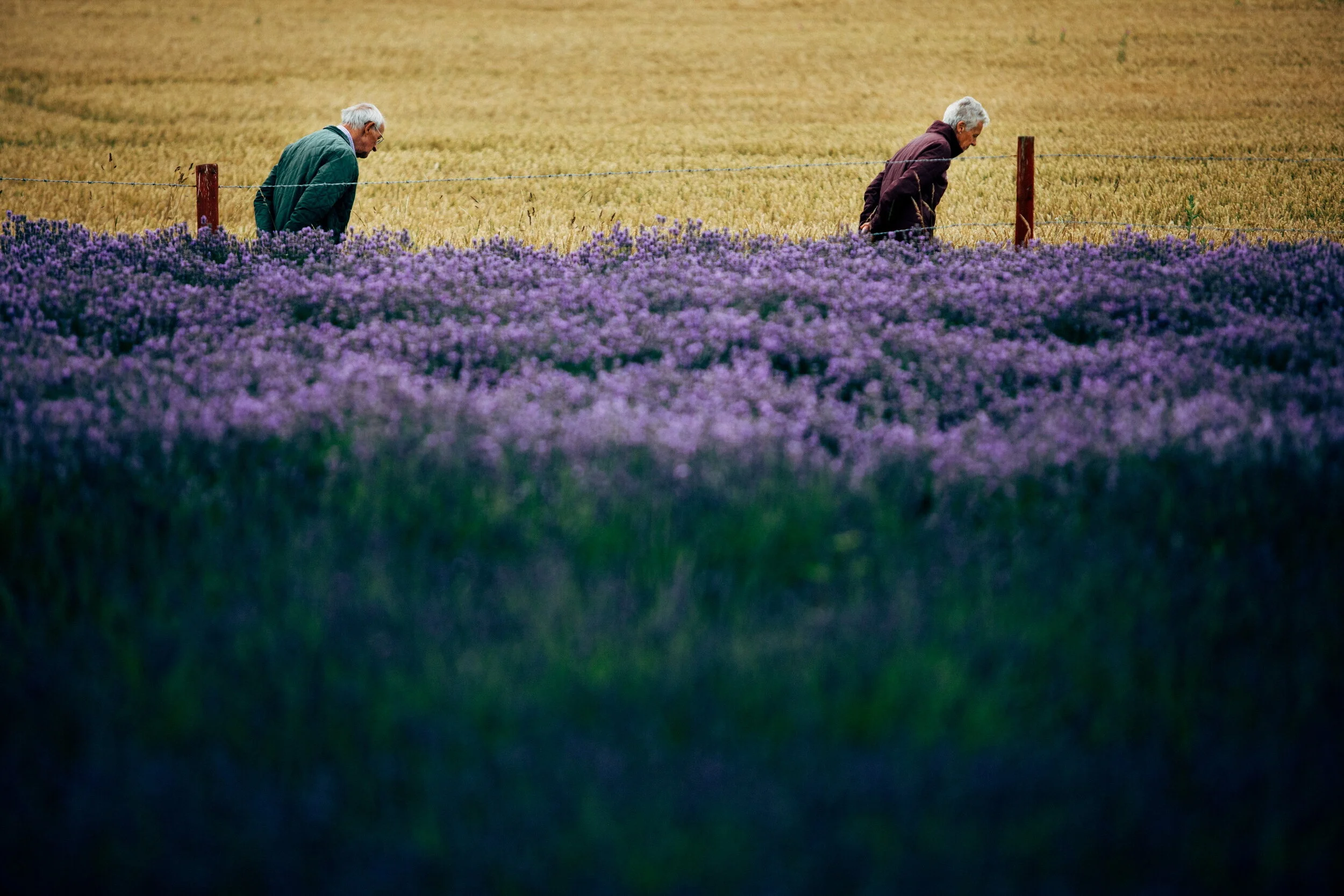 G&D (213)_resize.JPG