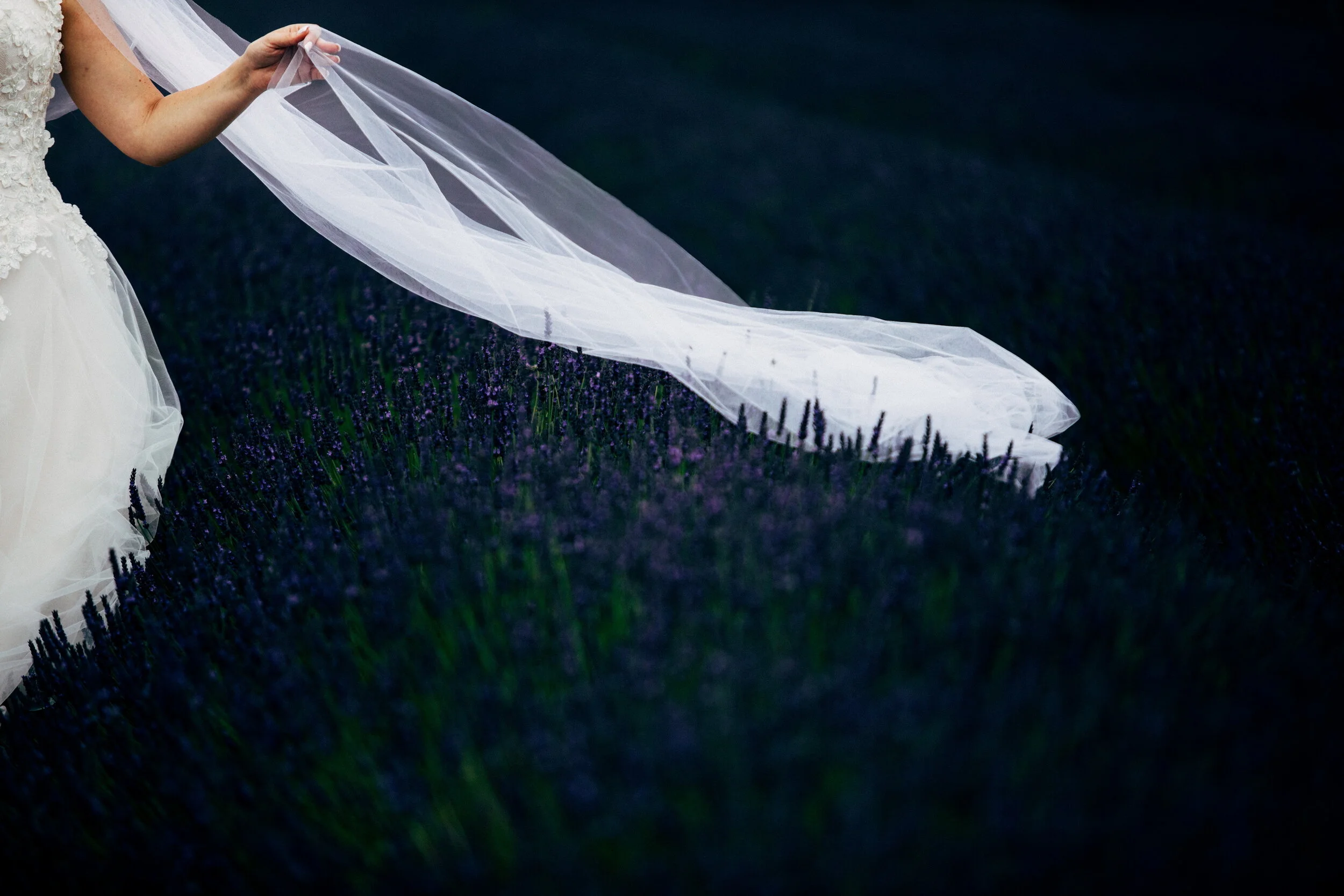 G&D (242)_resize.JPG