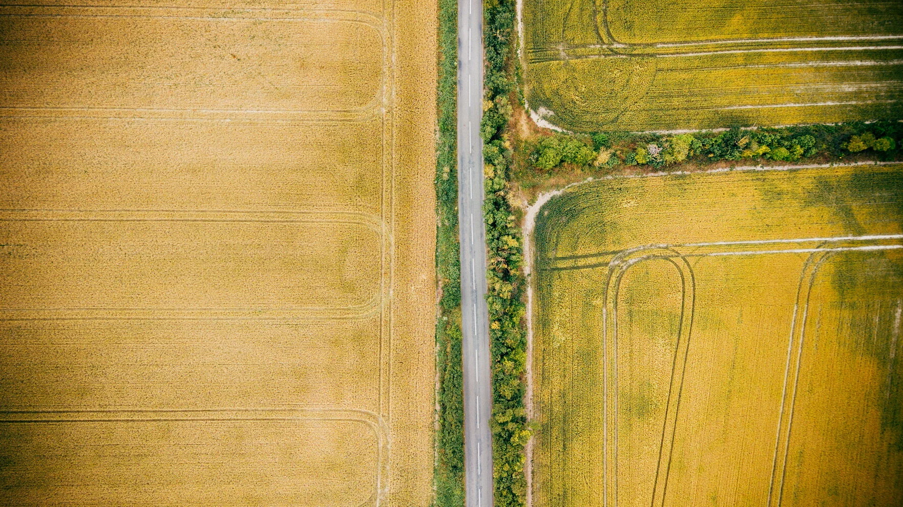 G&D (301)_resize.JPG