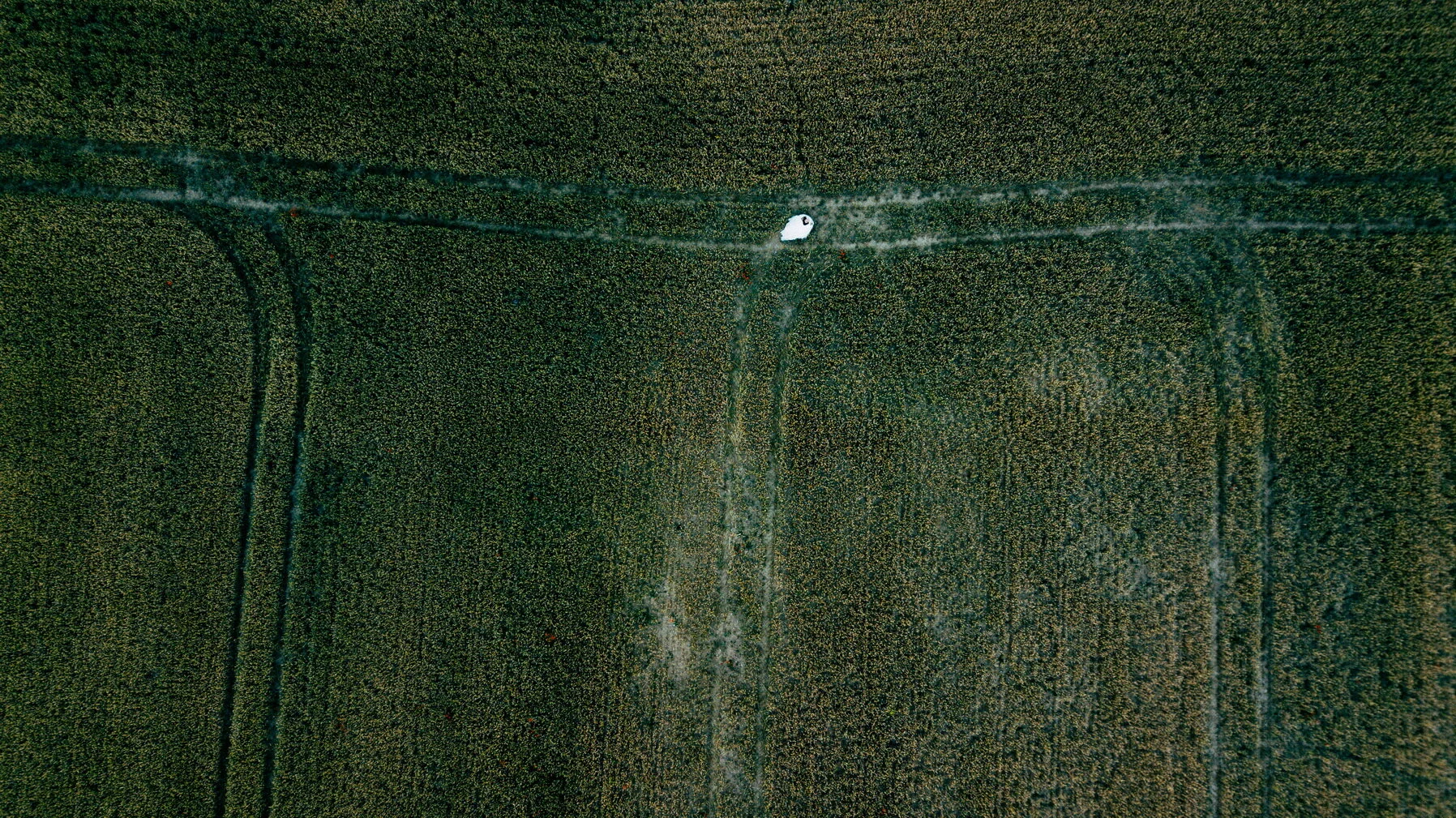 G&D (322)_resize.JPG