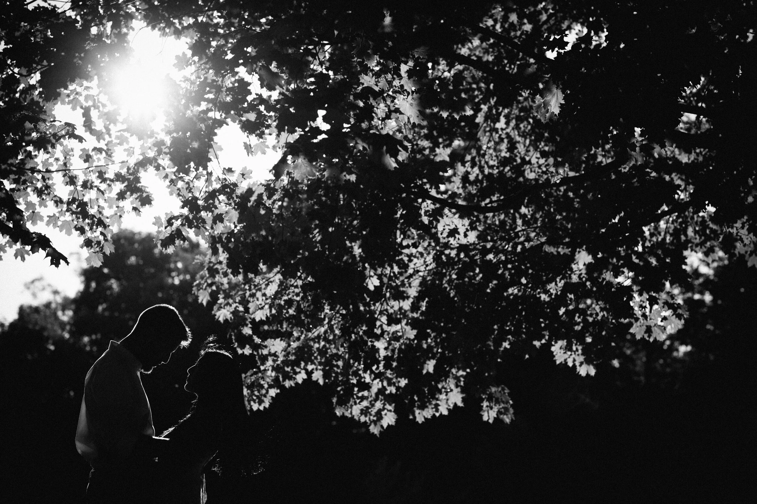 WEB (126)_resize.JPG