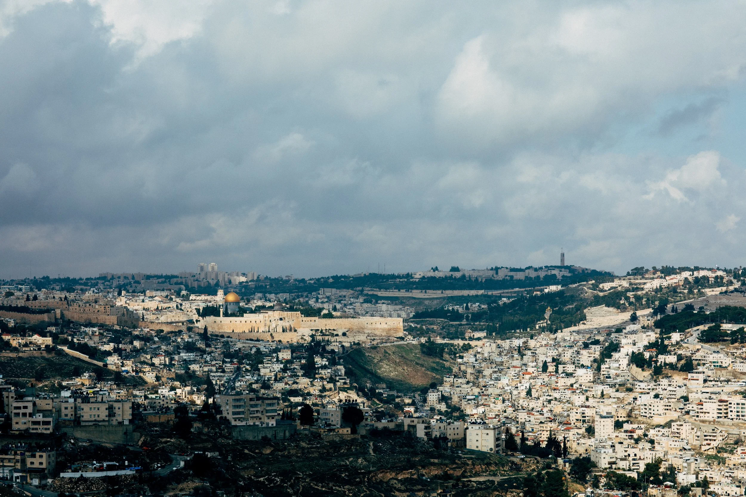 OlmayaSetUp (119)_resize.JPG