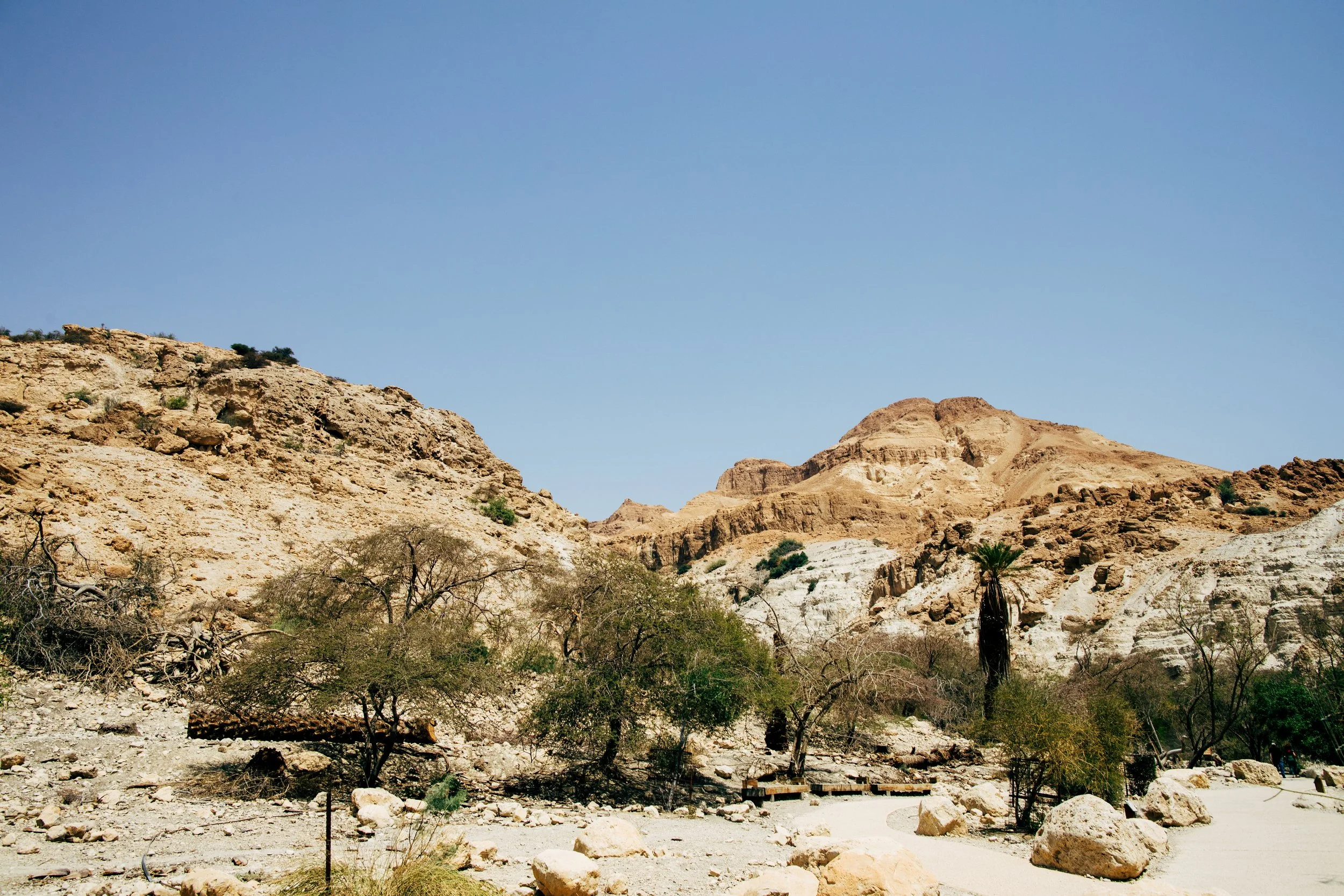 Monday (18)_resize.JPG