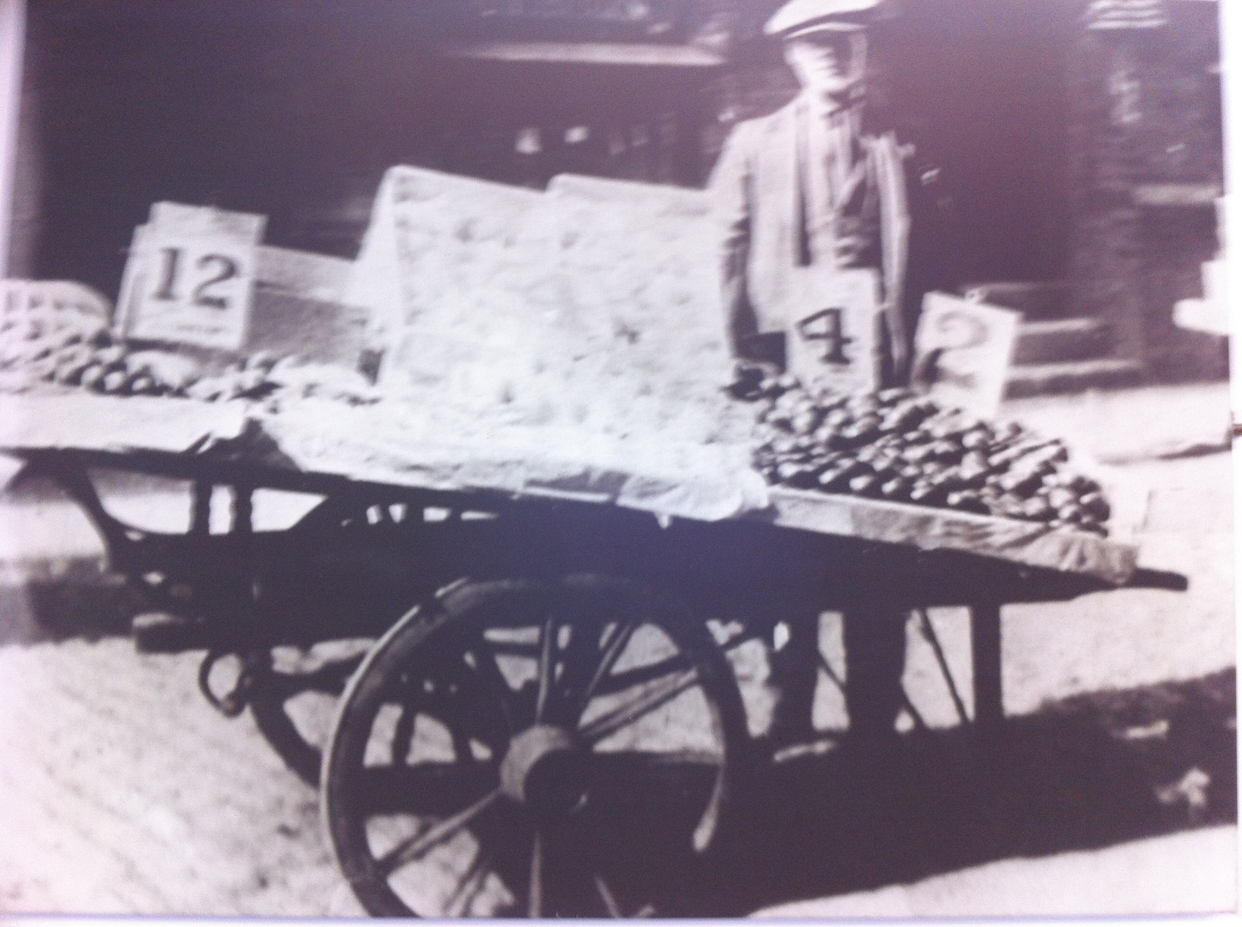 Thomas 1926
