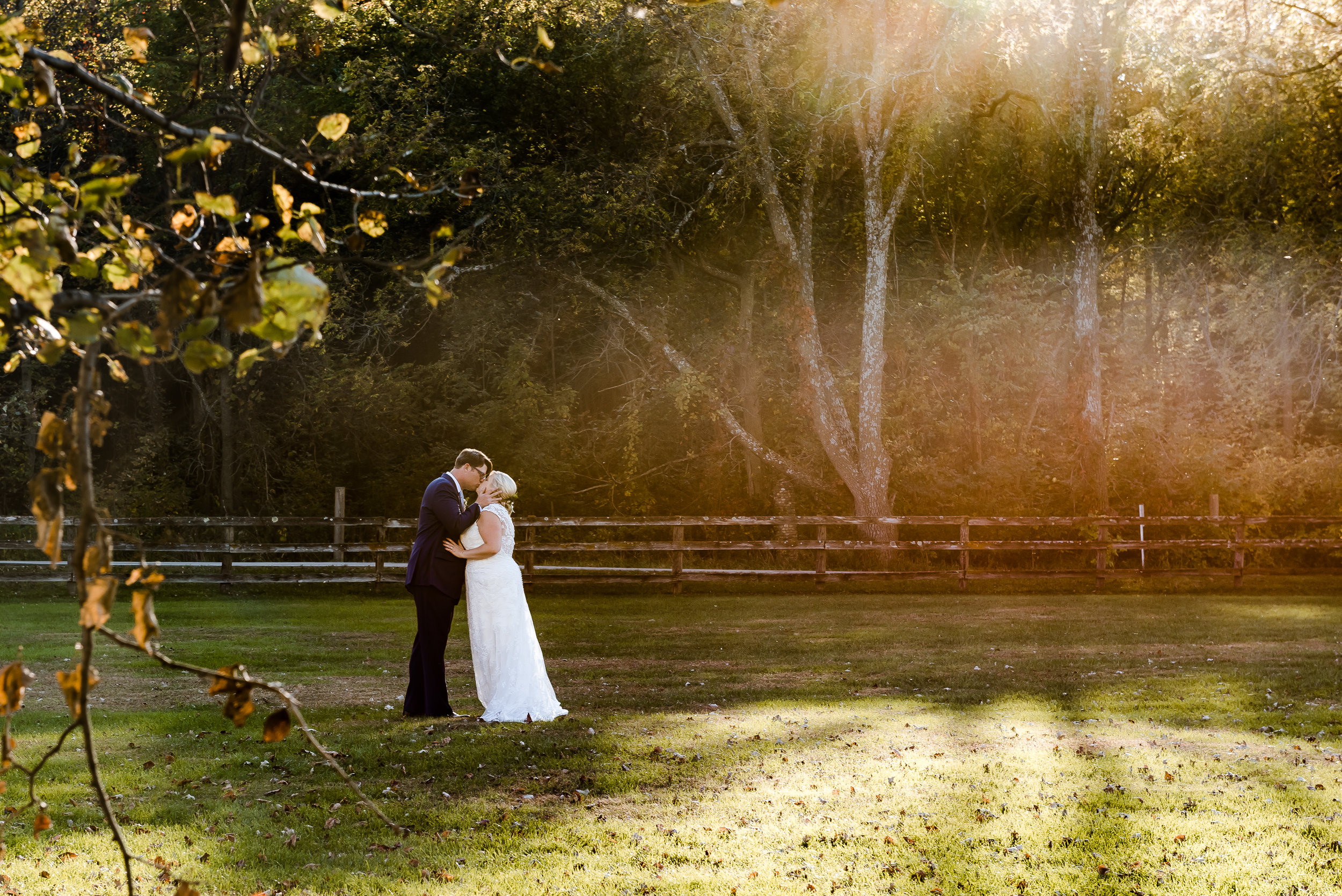 www.laurarobinsonphoto.com