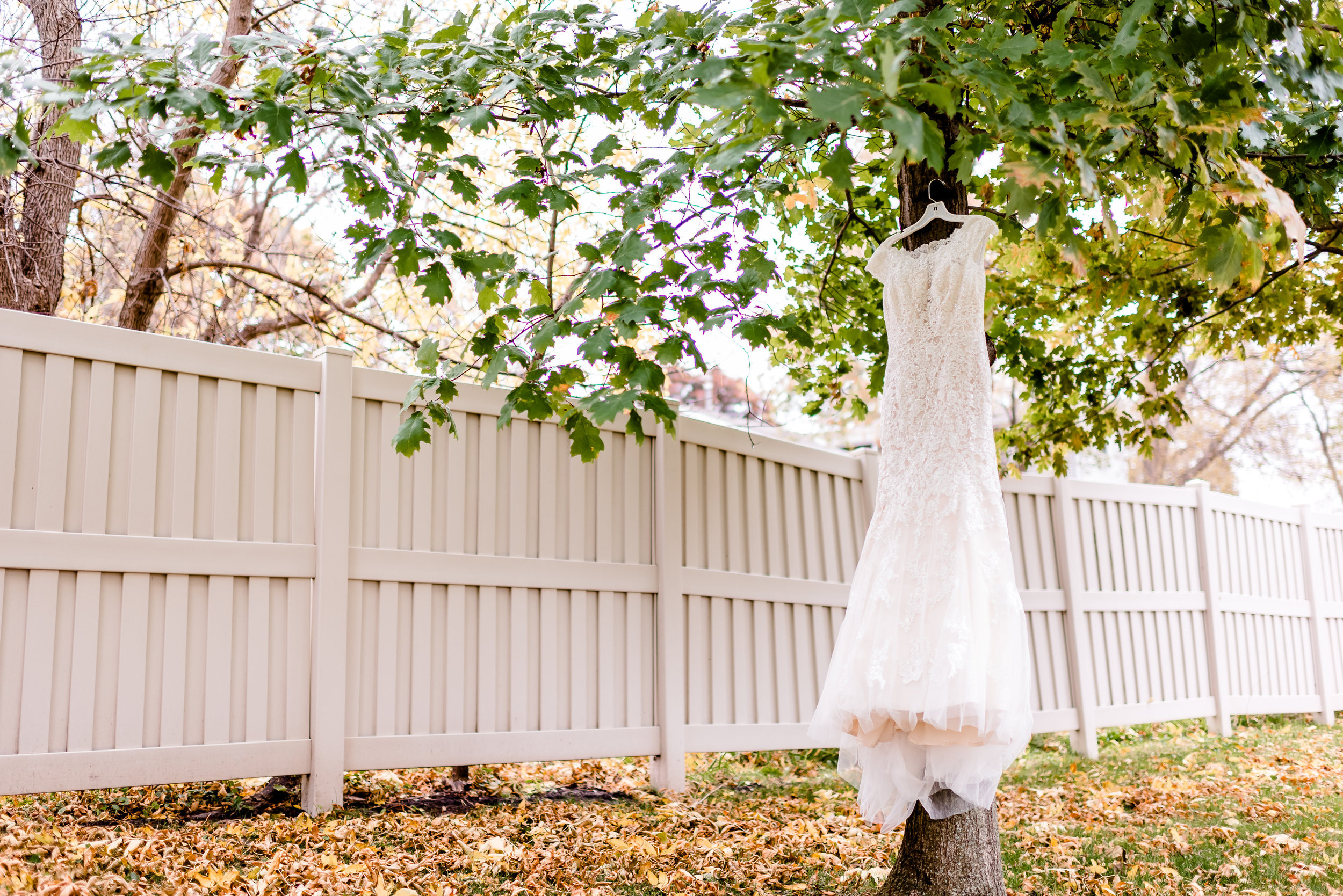 www.laurarobinsonphoto.com