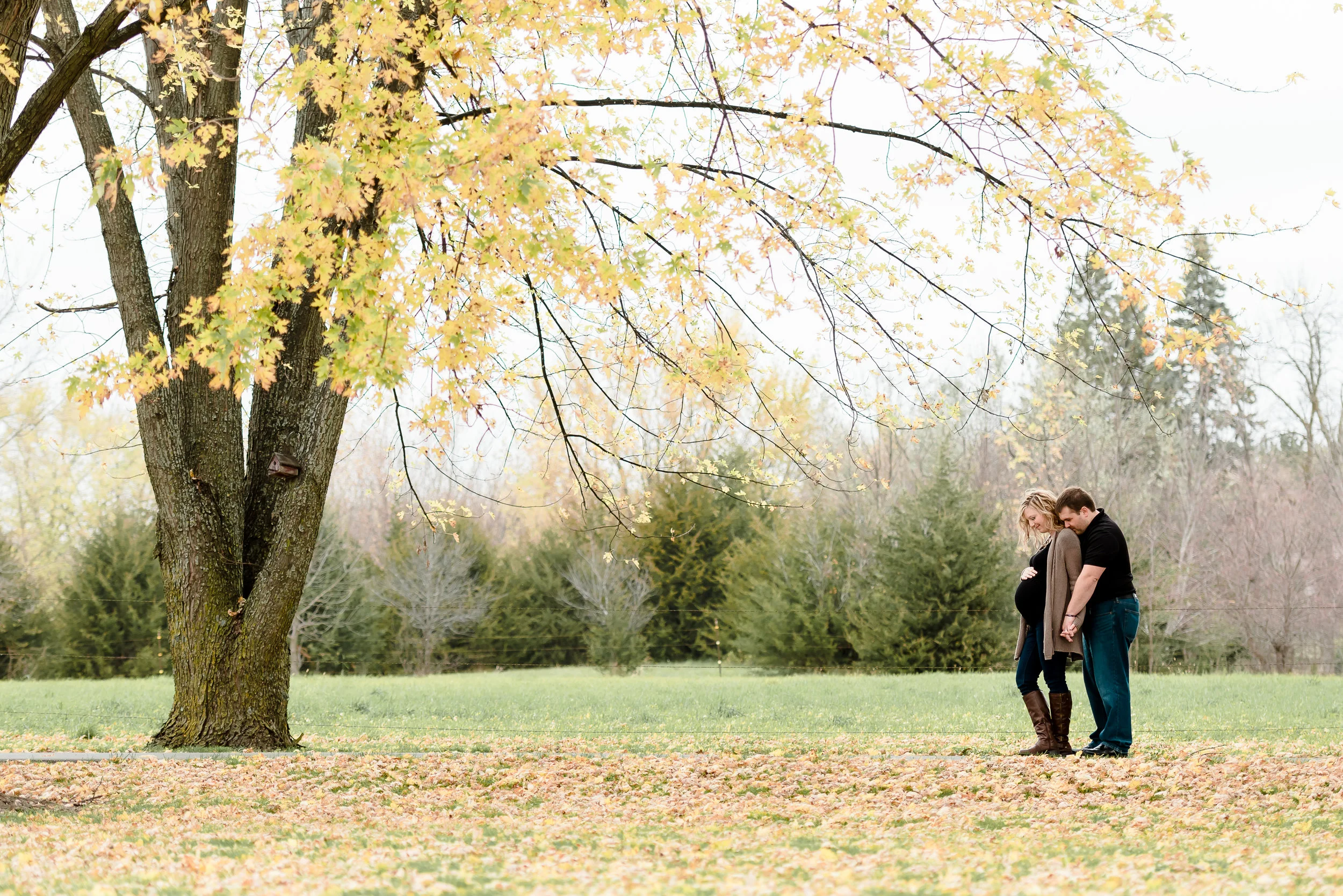 www.laurarobinsonphoto.com