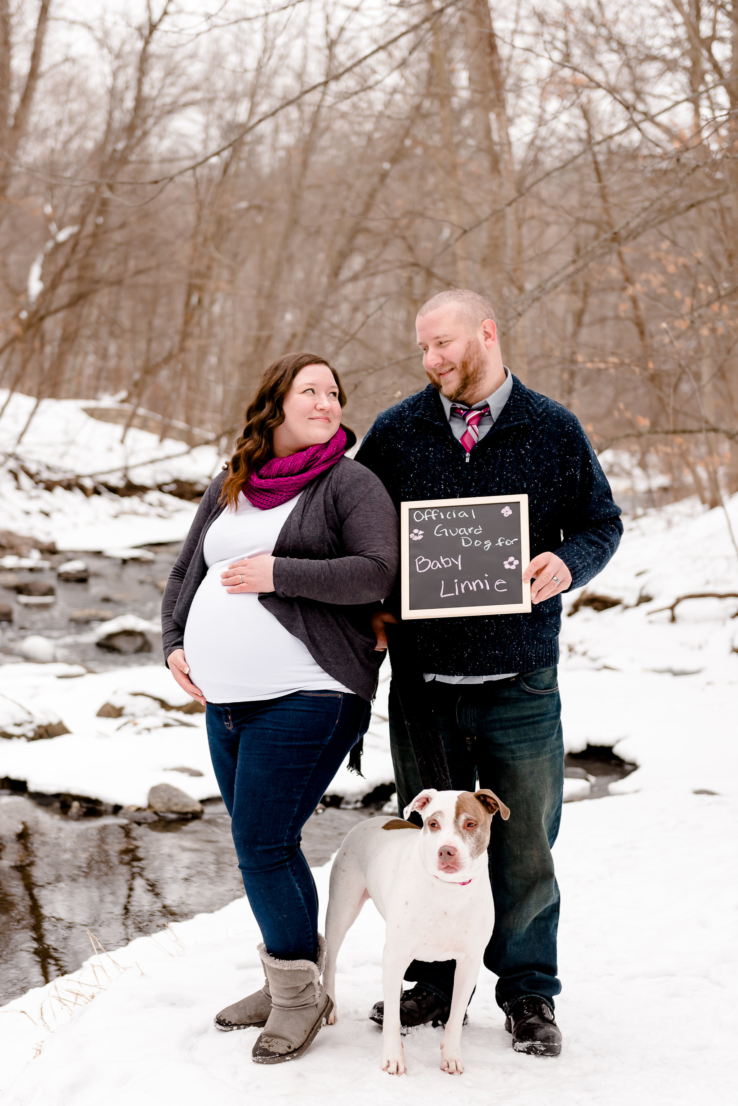 Pregnancy Photos with Dog - Minnesota Maternity Photographer