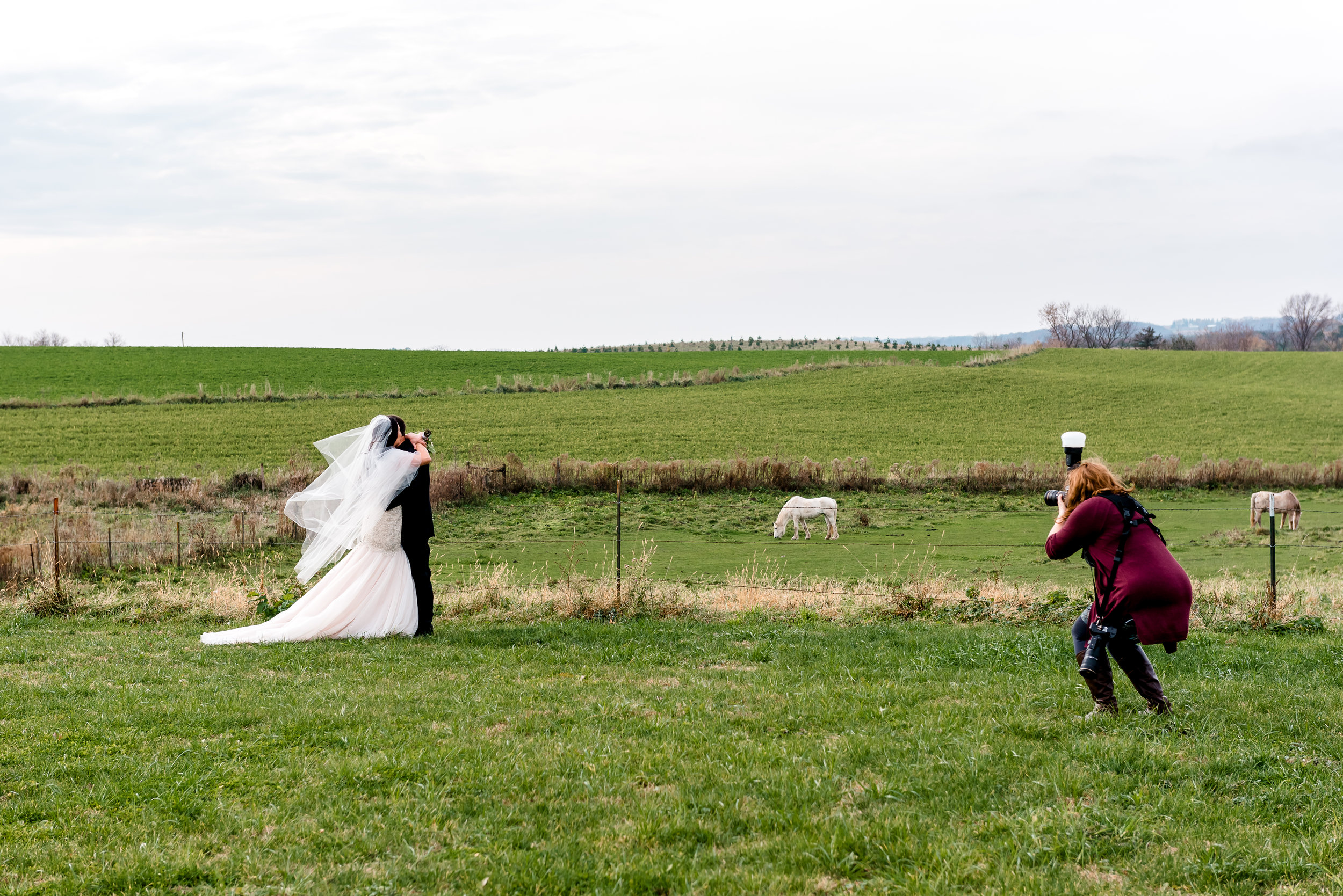 www.laurarobinsonphoto.com