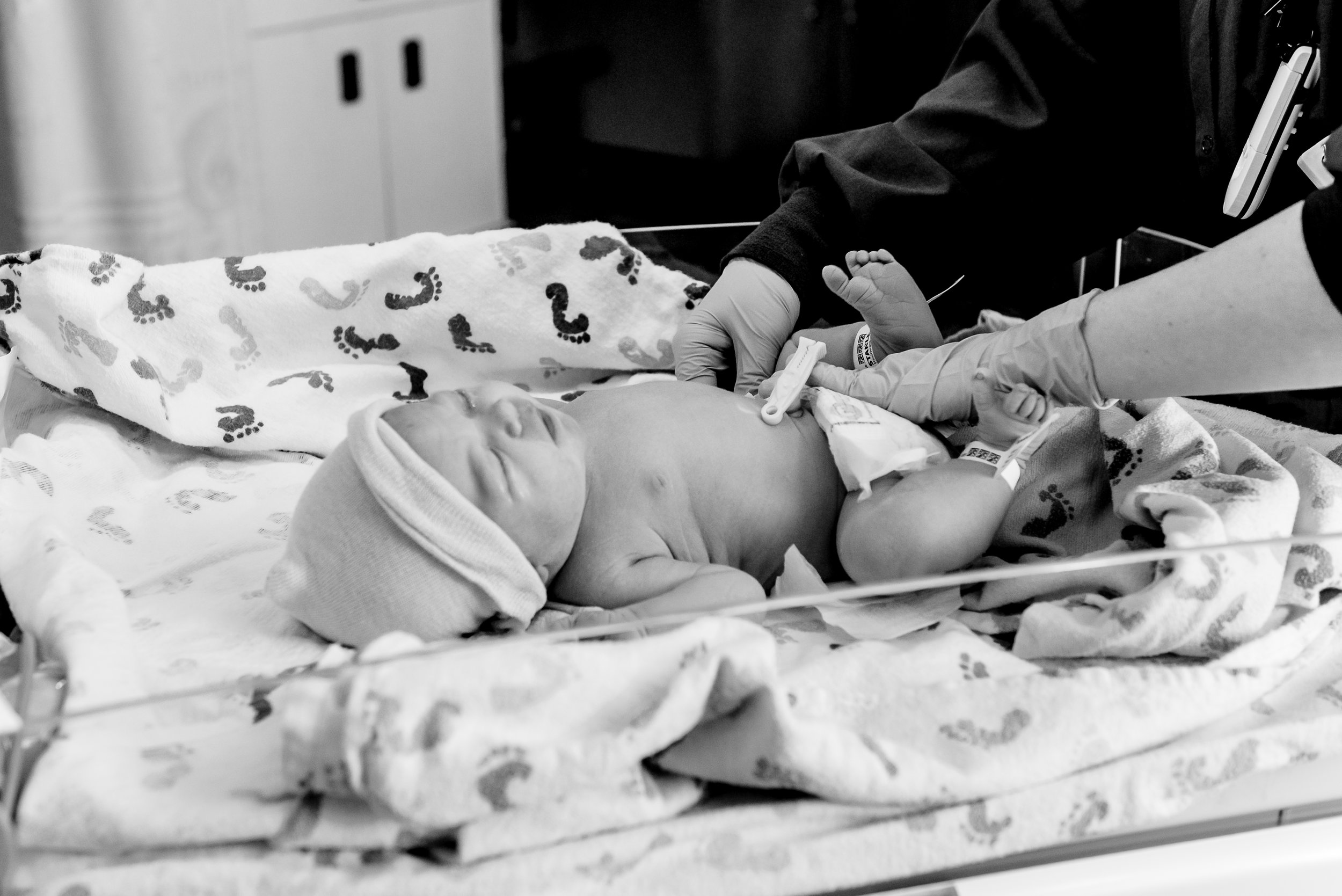 www.laurarobinsonphoto.com
