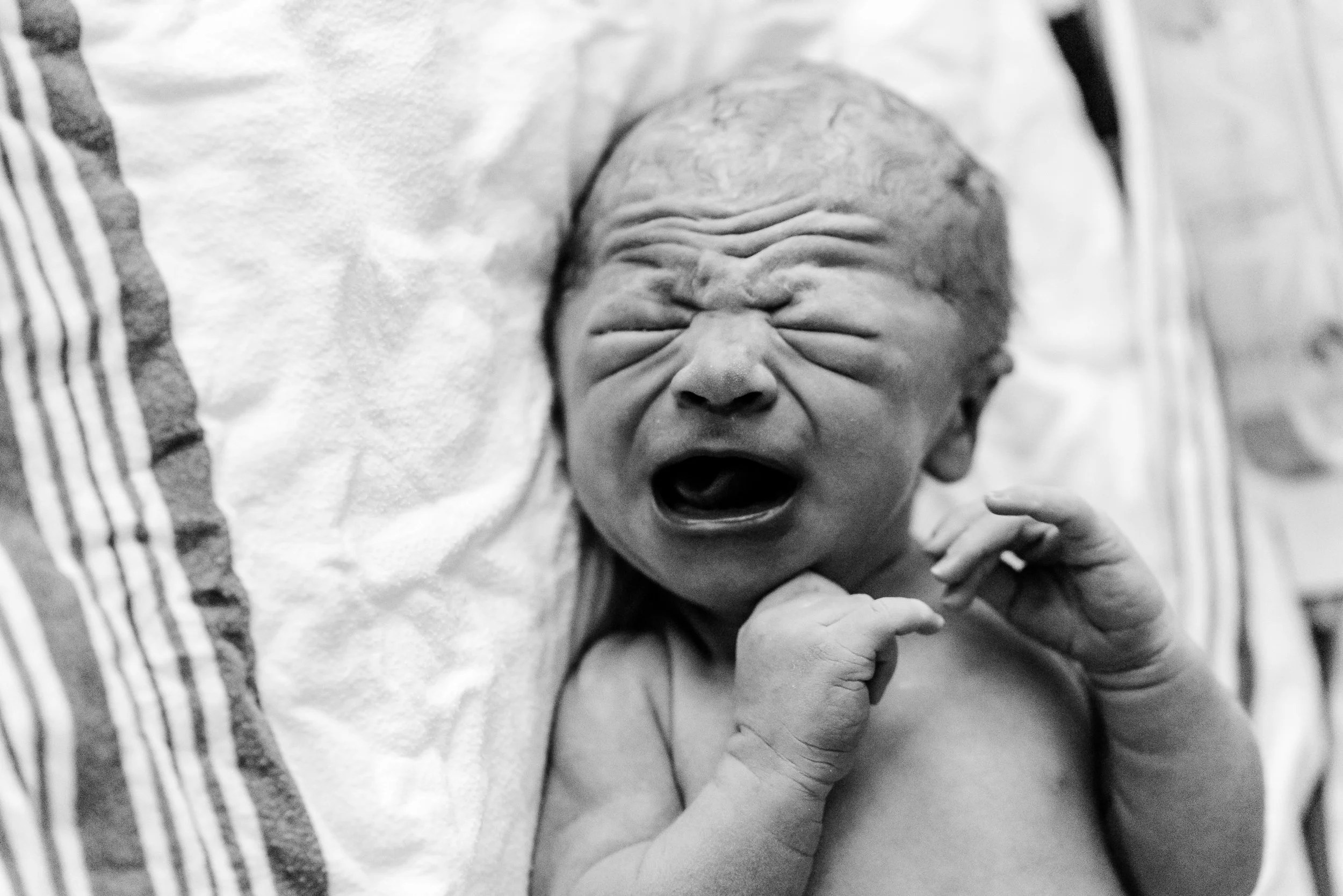 Twin Cities Newborn Photographer - Laura Robinson Photography