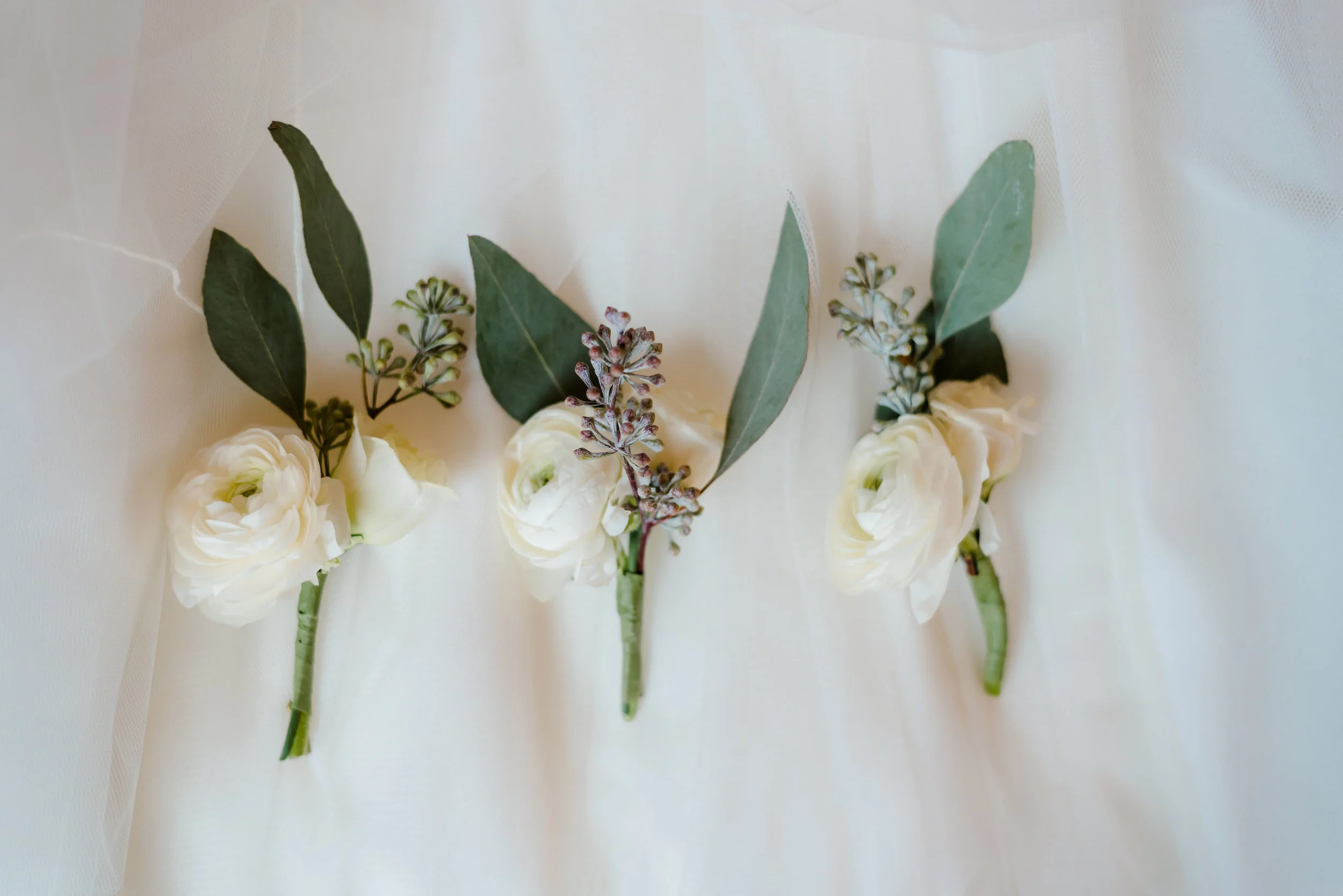 Laur Robinson Photography | www.laurarobinsonphoto.com