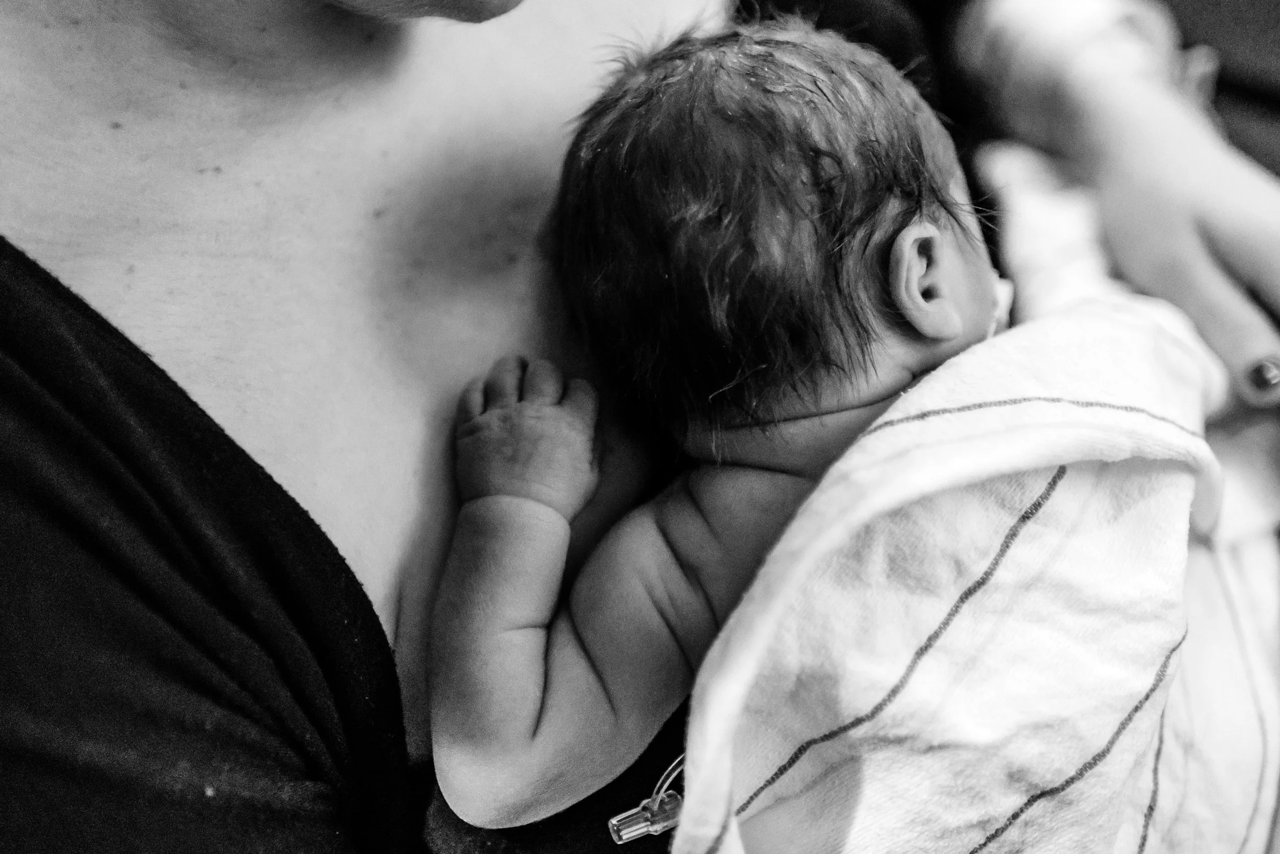 Kurtz Twins - Birth -50.jpg
