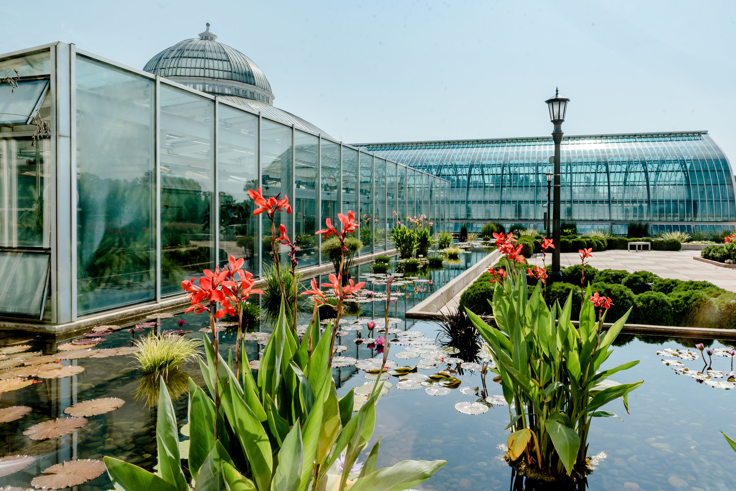 Como Conservatory Wedding - Exterior of Marjorie McNeely Conservatory - Minneapolis St Paul Wedding Photographer
