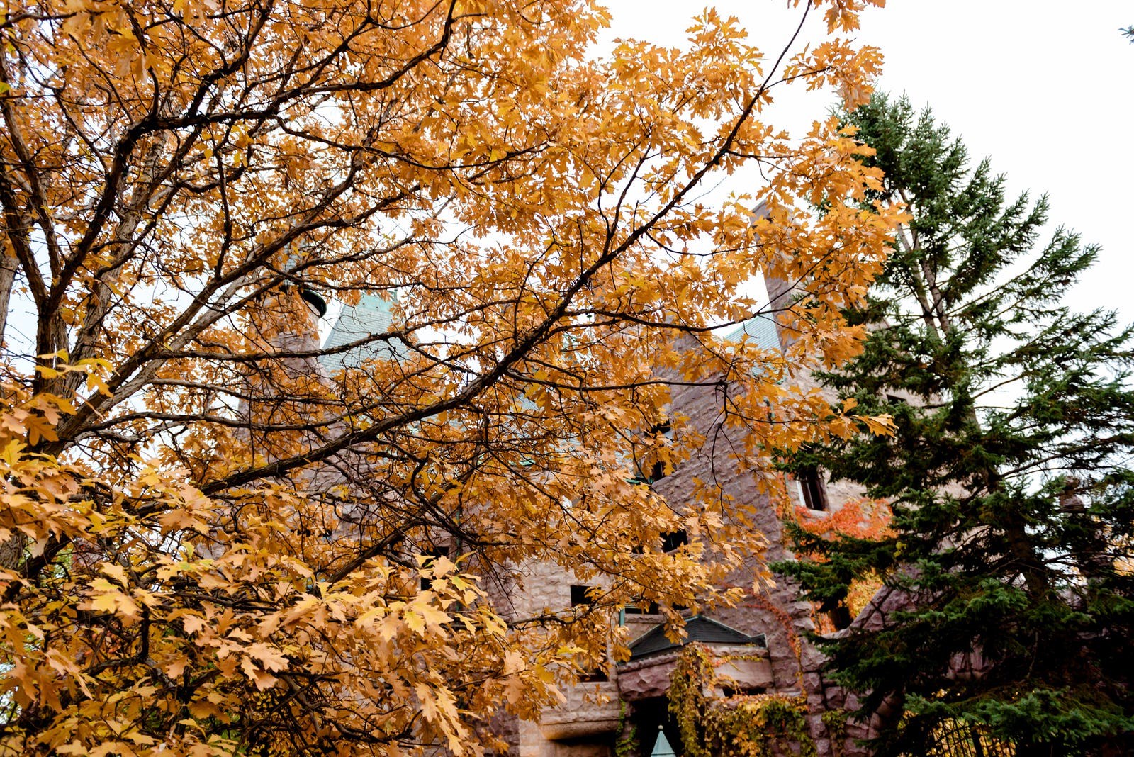 Lauren + Karl - Van Dusen Mansion Wedding-659.jpg