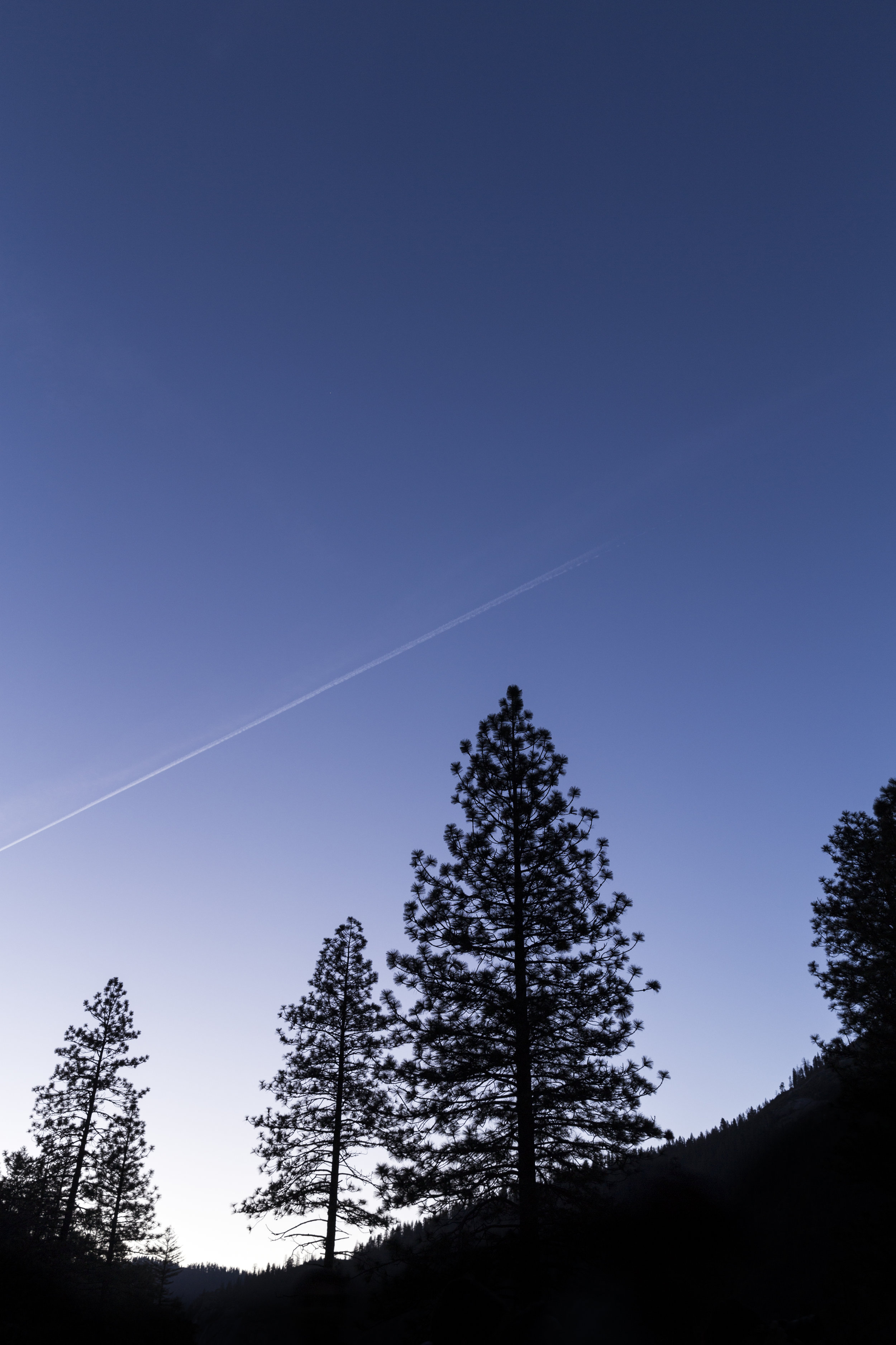 Shootingstar_M_IMG_0143.jpg