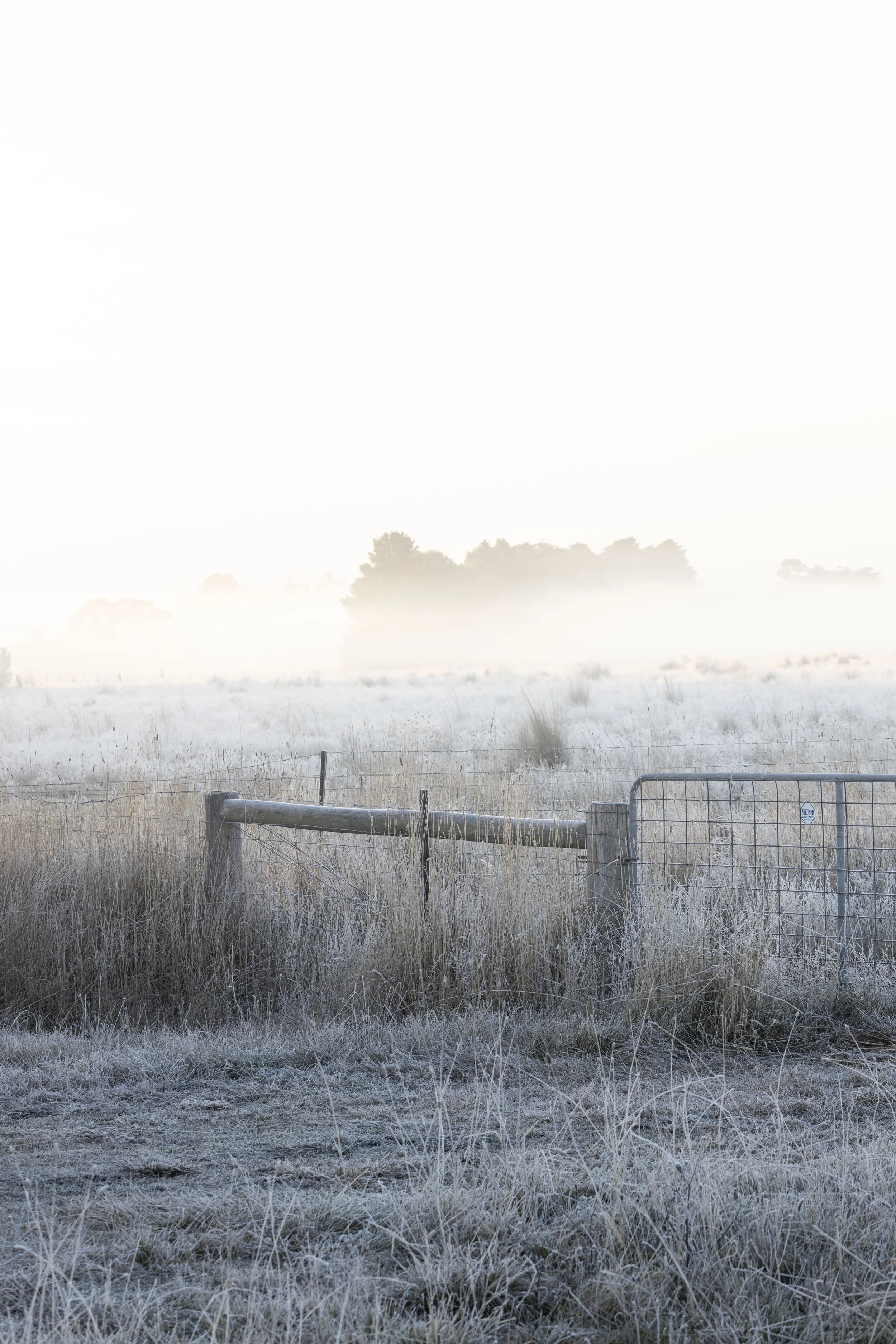Gisborne_SammyGreenPhotography.jpg