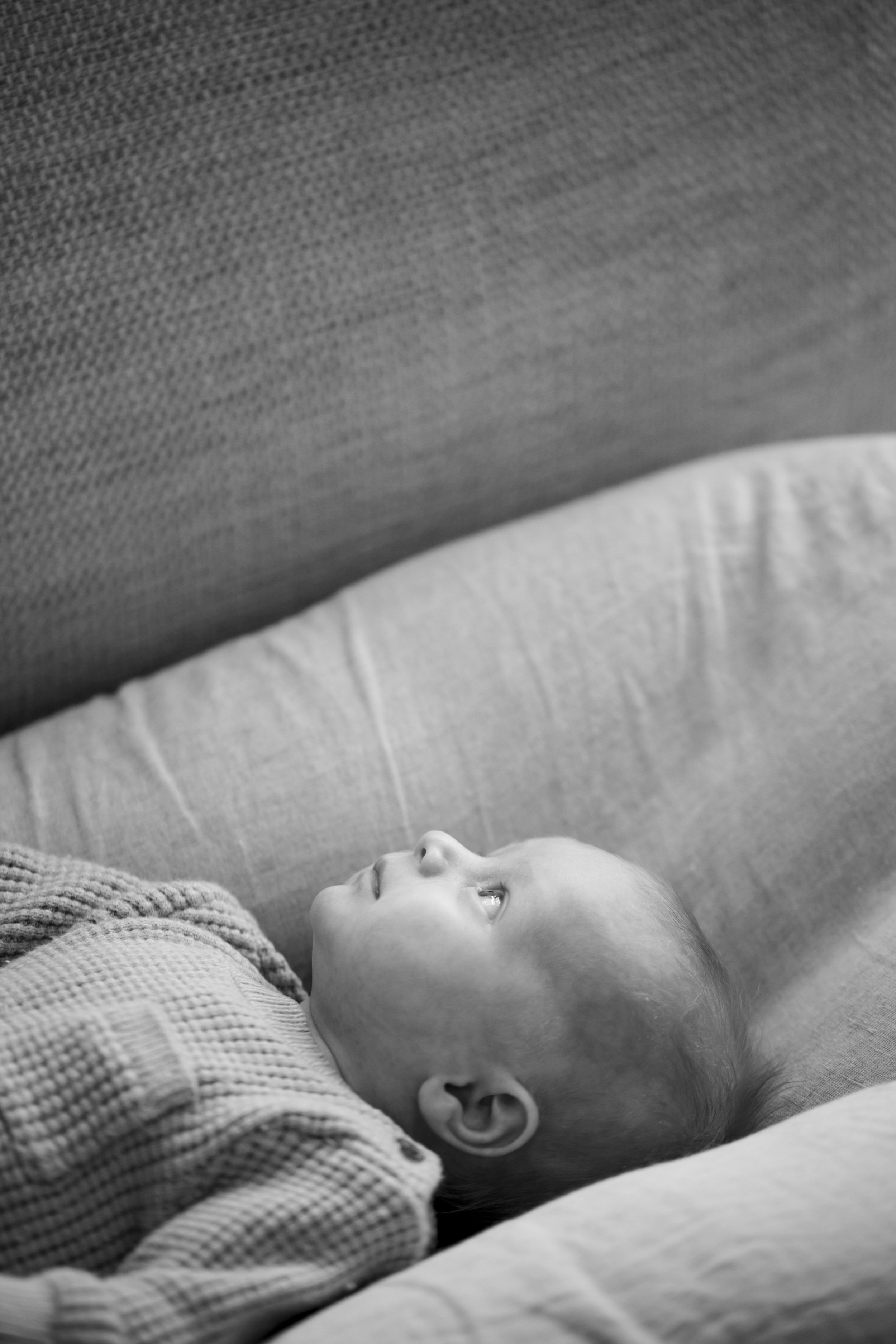 BabyColt_24thMay2023_SGP_B&W__38.jpg