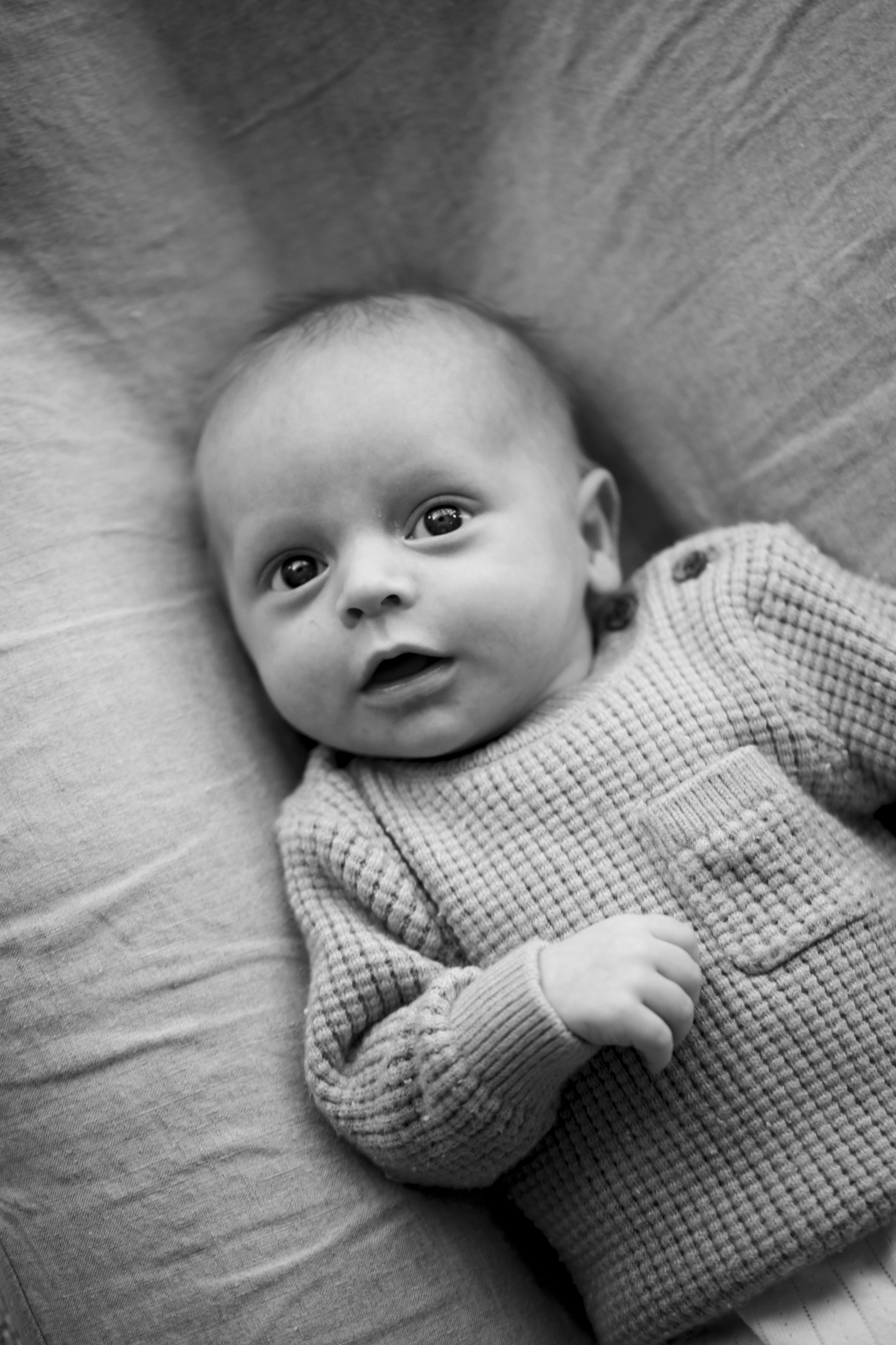 BabyColt_24thMay2023_SGP_B&W__46.jpg