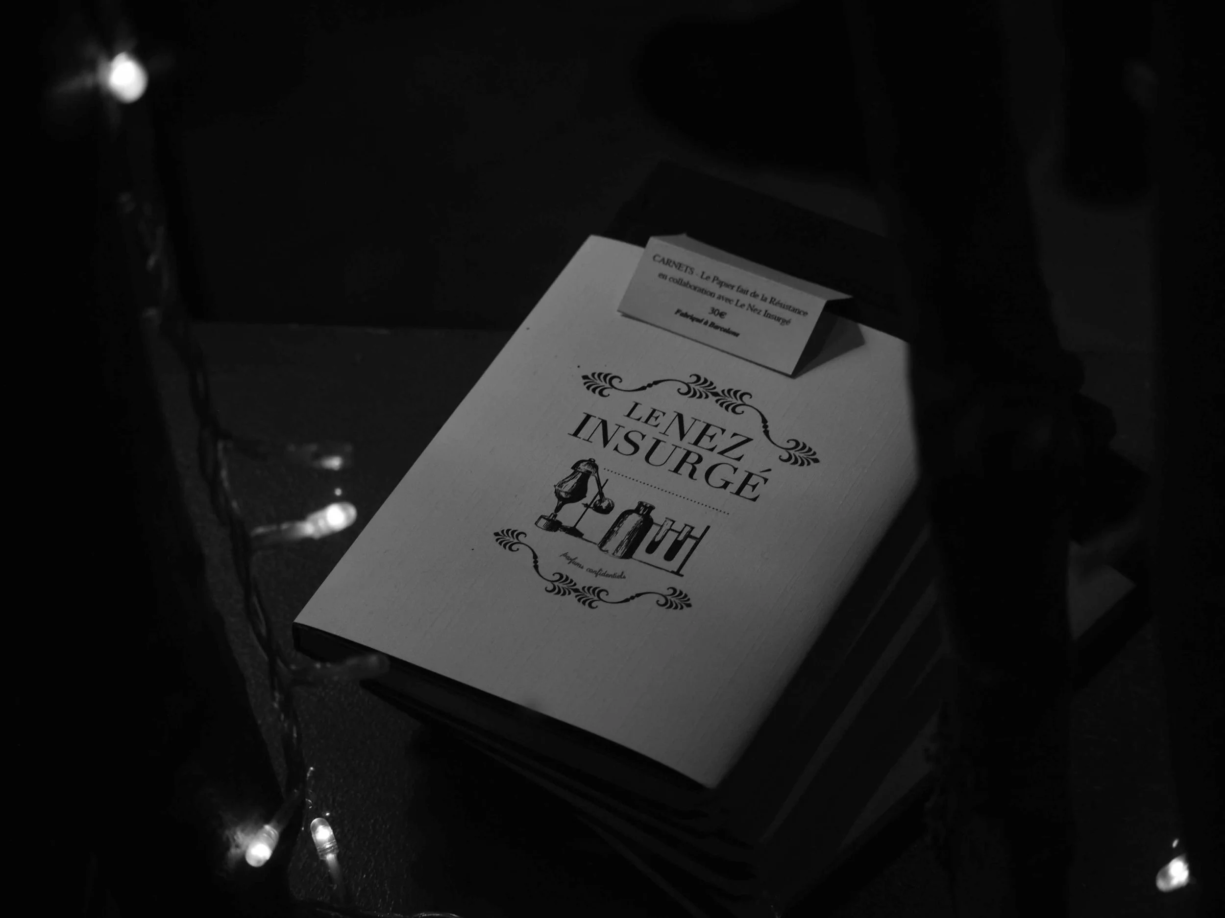 P1012730.jpg
