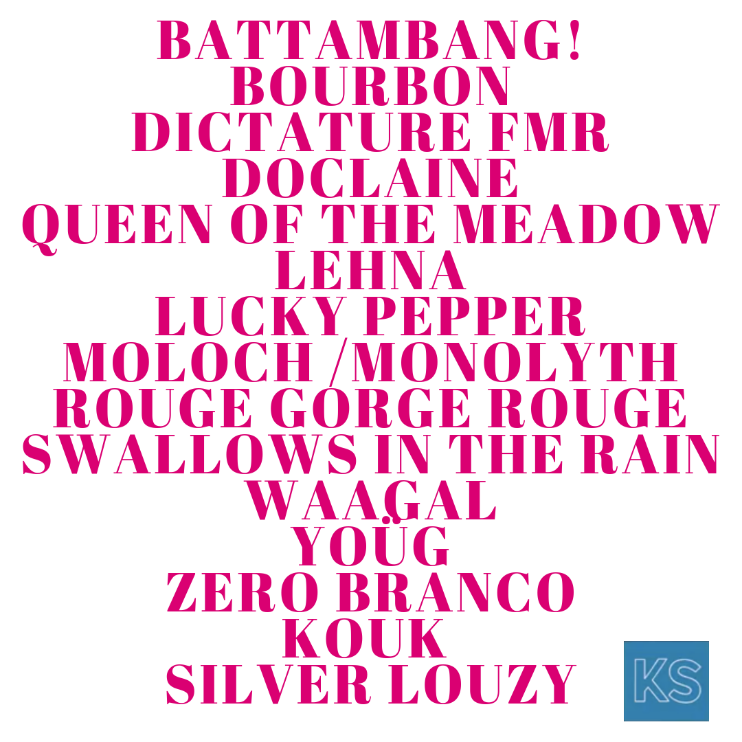 Les prochains groupes des Kitchen Sessions 