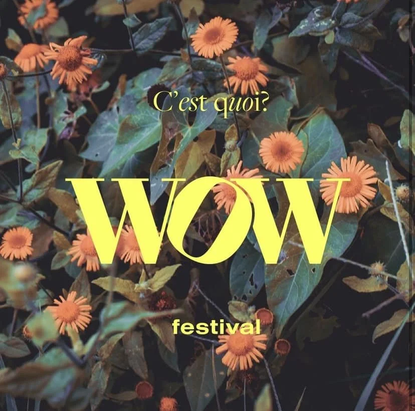 WOW 2023 : Le festival qui va t’en mettre plein la vue 