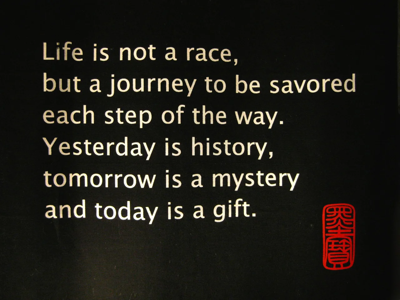 Andrea Weineck - Life is not a race