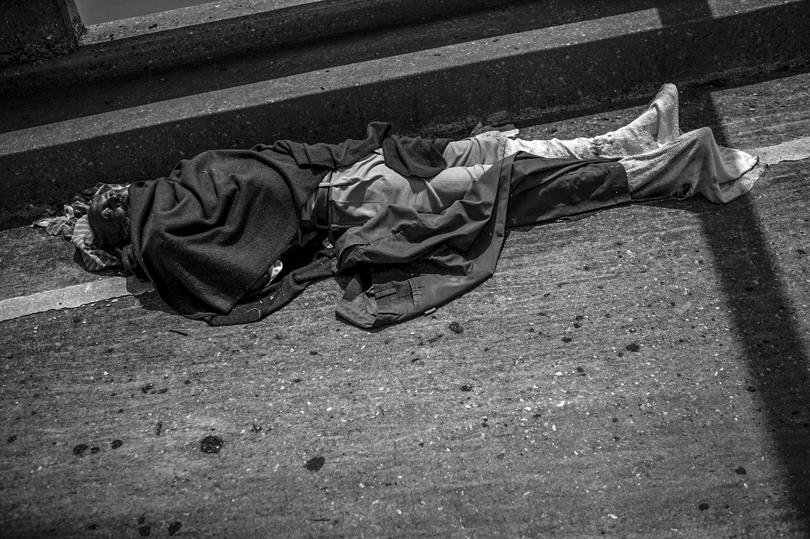 One of the unfortunate who died on Interstate 10. 