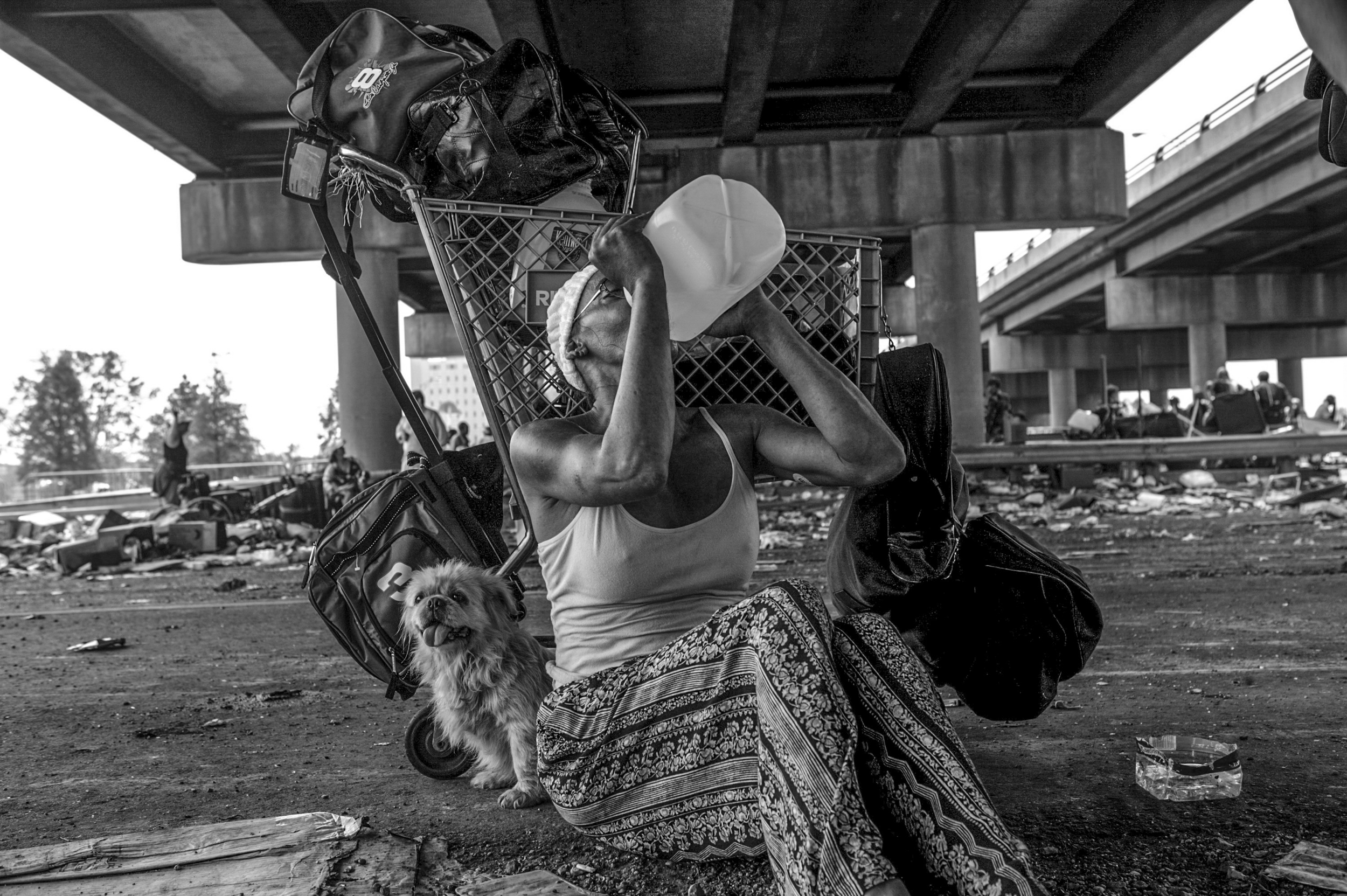 Once rescued off the highway by helicopters they waited for transportation to shelters and hospitals.