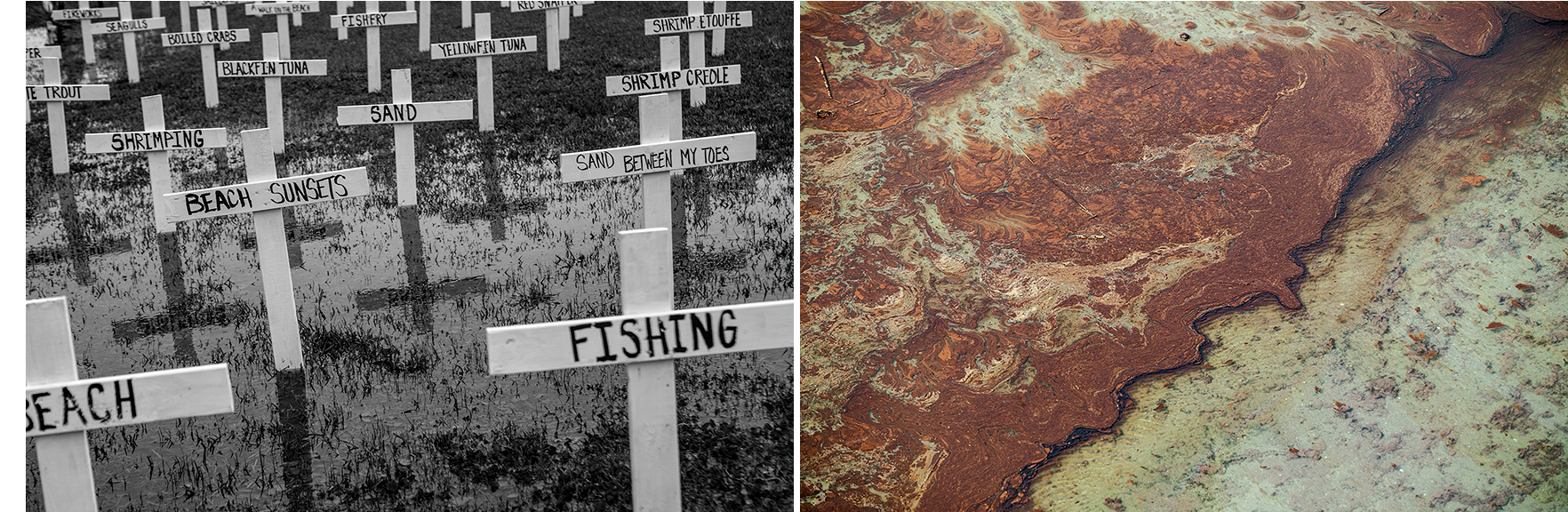 The three main industries in this region are fishing, oil and tourism. All three industries have been severely impacted, leaving the people of this region in despair and fearing for their economic future. The region's fishing culture, that has for g