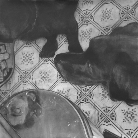    Untitled (Chow) ,&nbsp; 2005 Charcoal on paper 60" sq. 